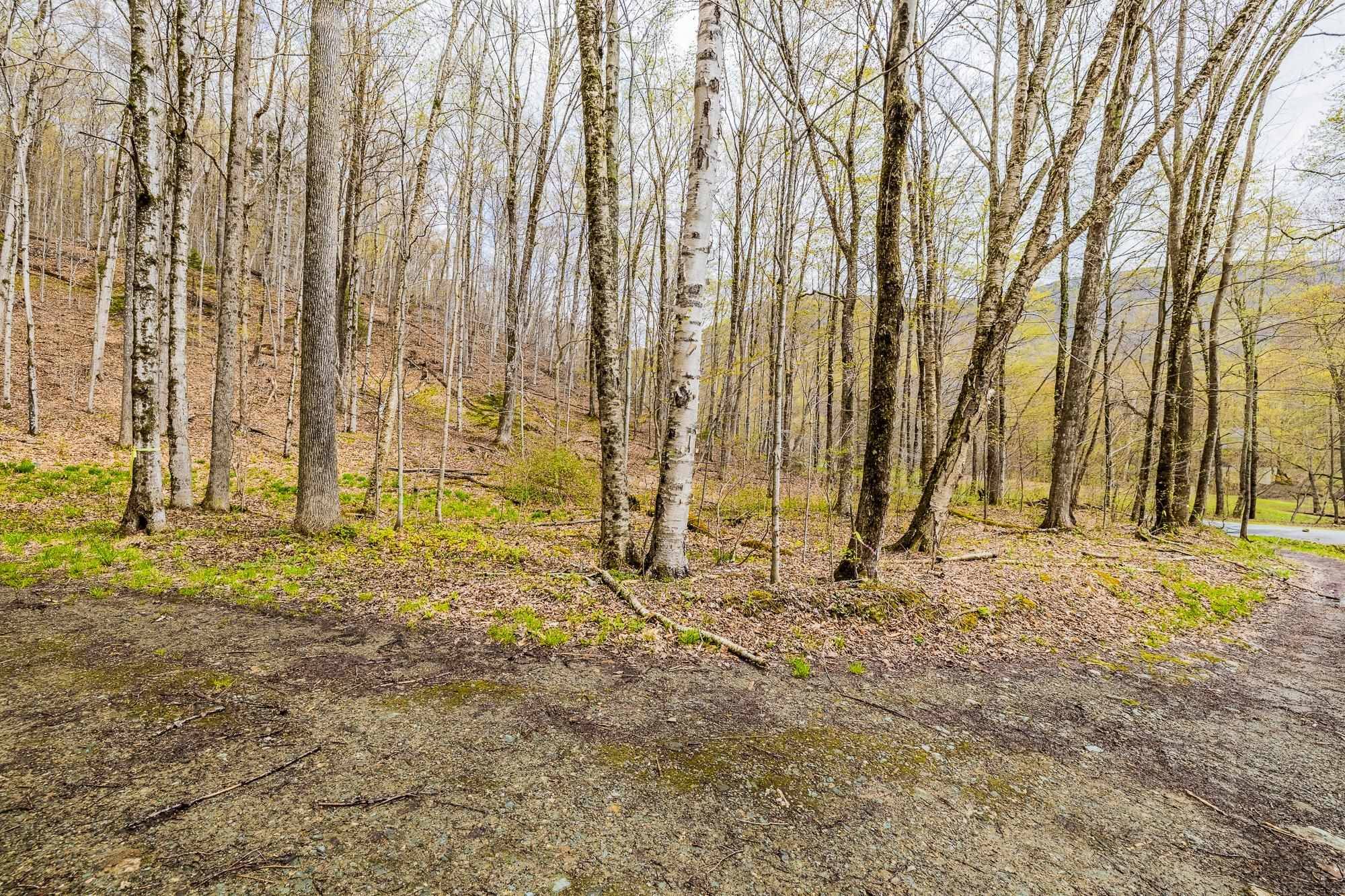 Dorset, VT 05251,TBD Tower RD #D-5