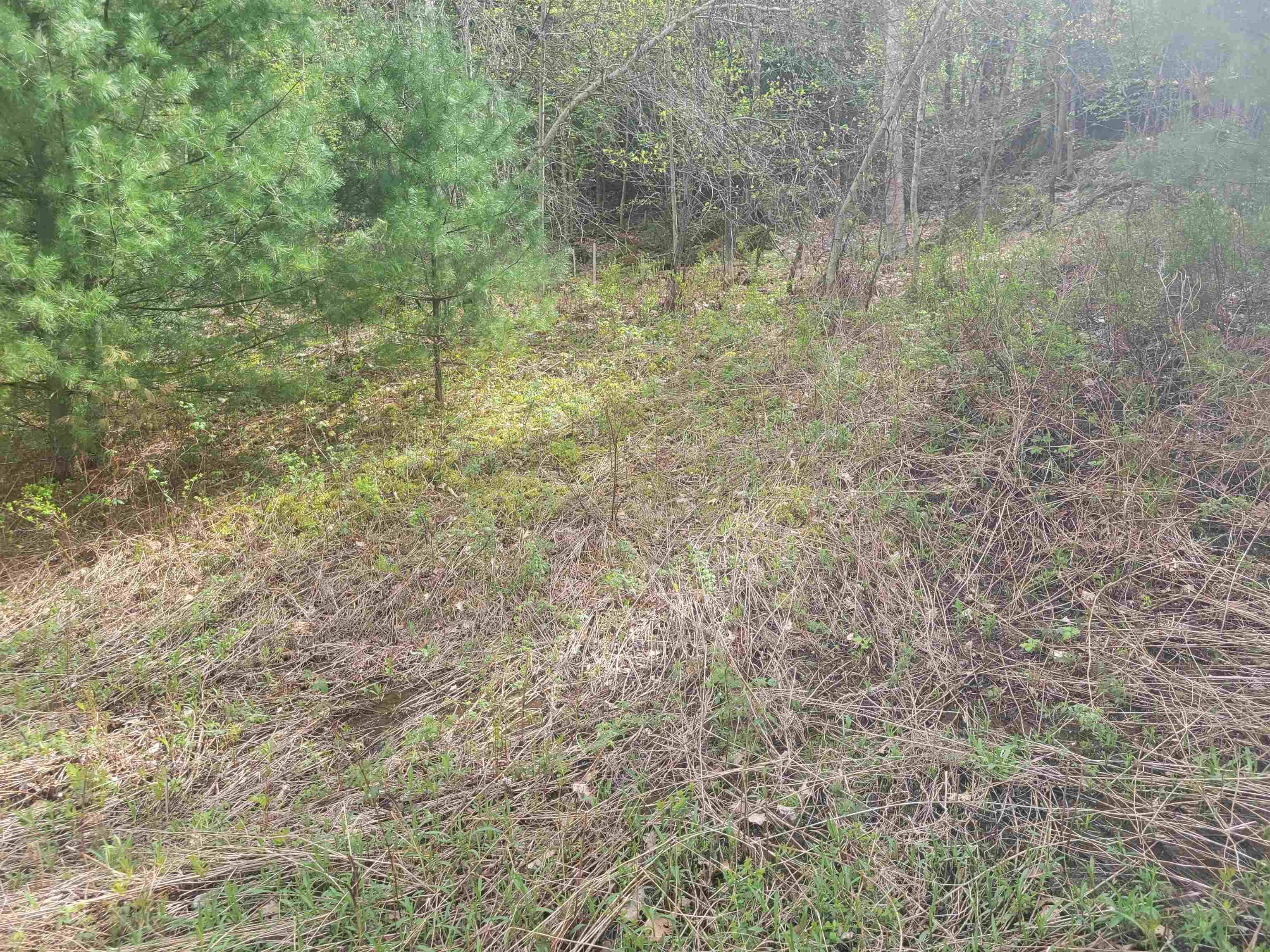 Richmond, VT 05477,575 Greystone DR