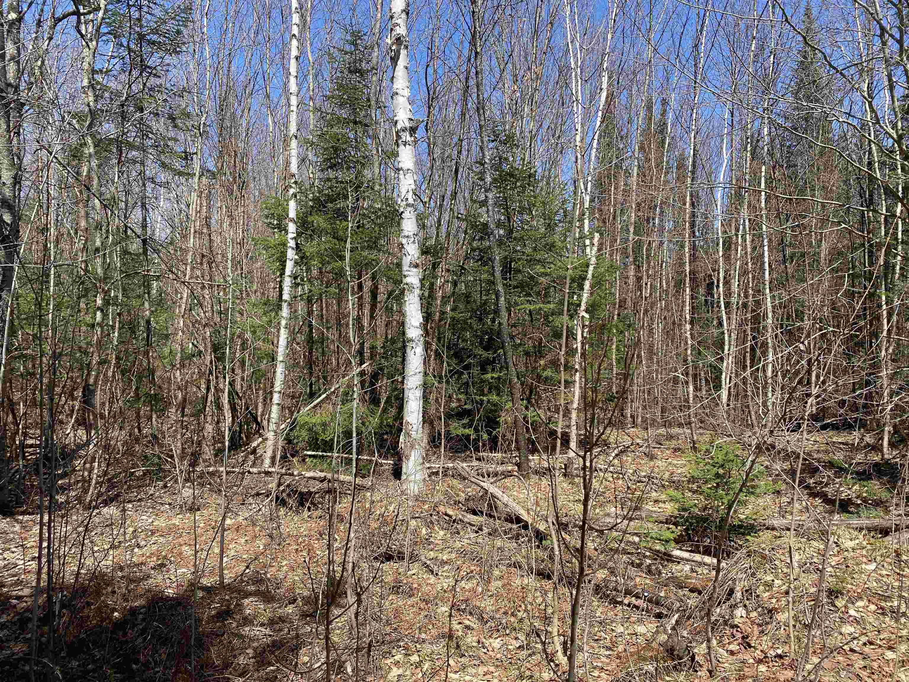 Newbury, VT 05033,Mace RD
