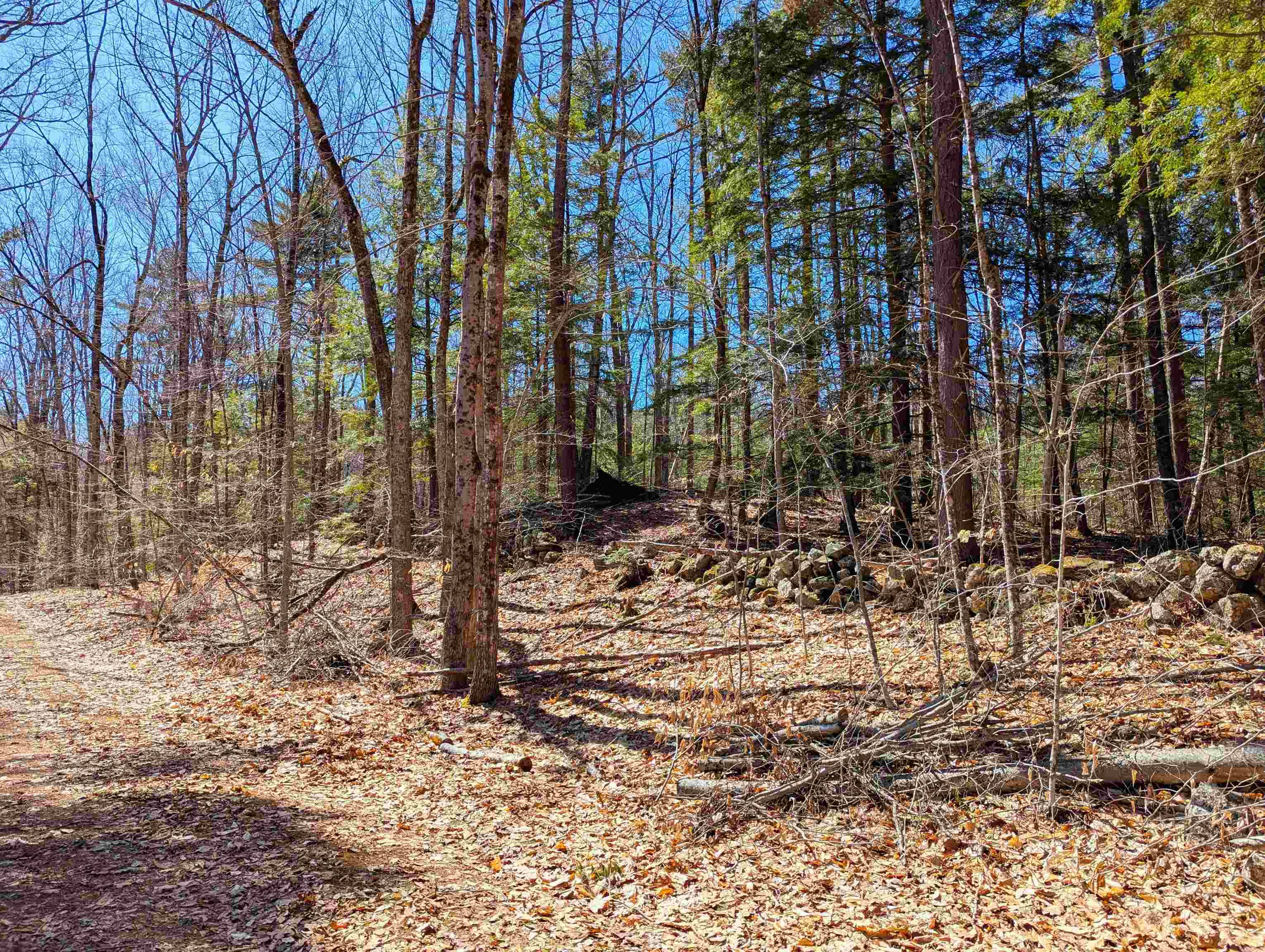 Wakefield, NH 03872,00 Copp Hill RD