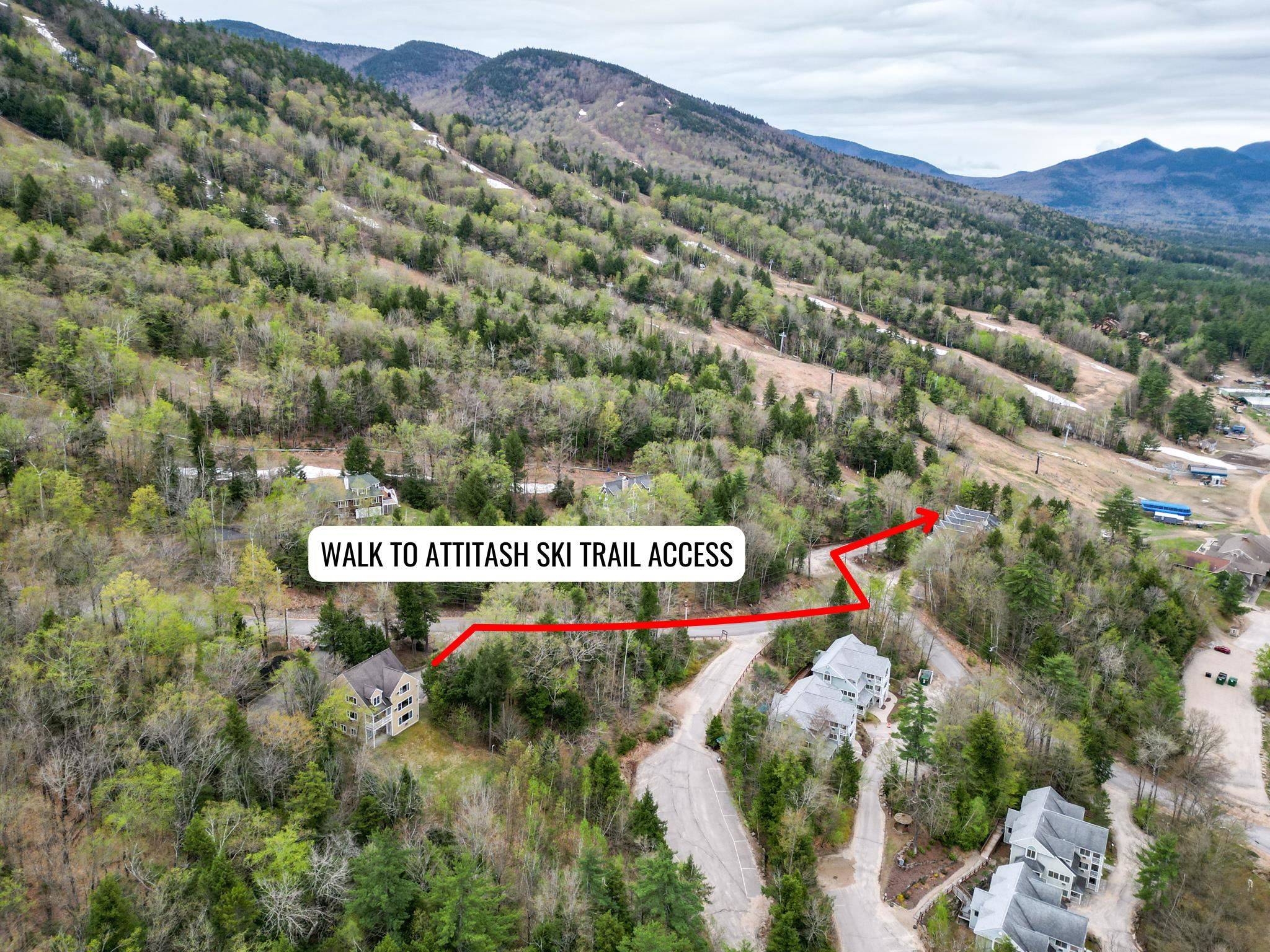 Bartlett, NH 03812,220 Cow Hill RD