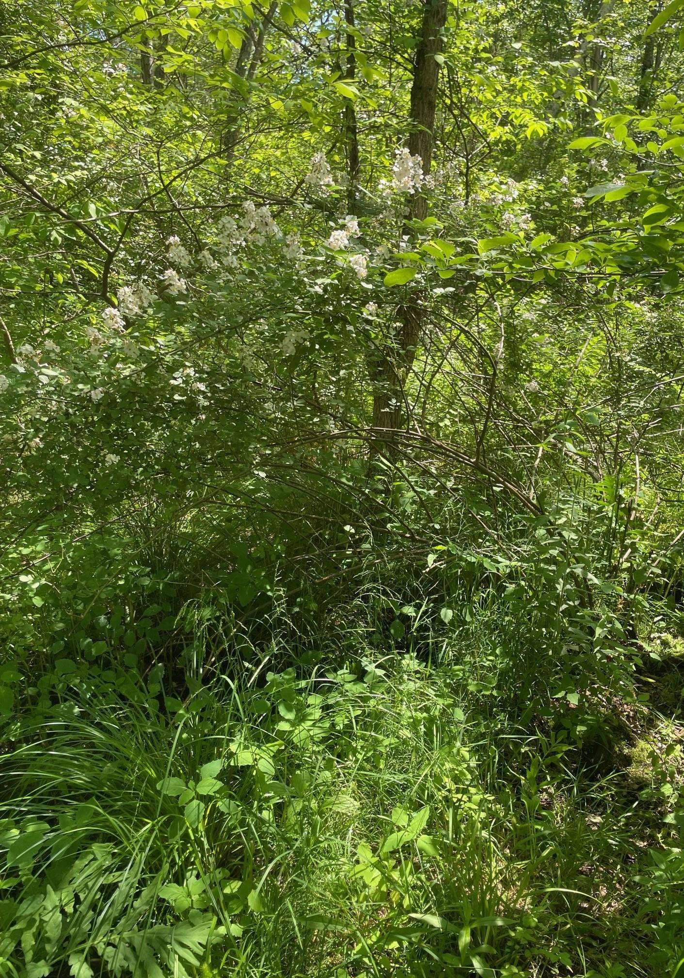 Stratham, NH 03885,00 Lovell RD