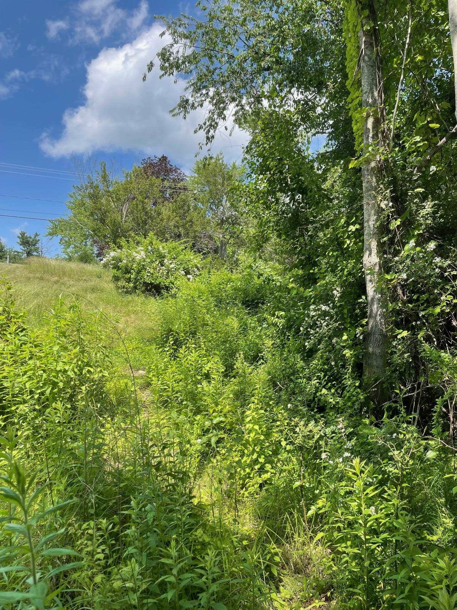 Stratham, NH 03885,00 Lovell RD