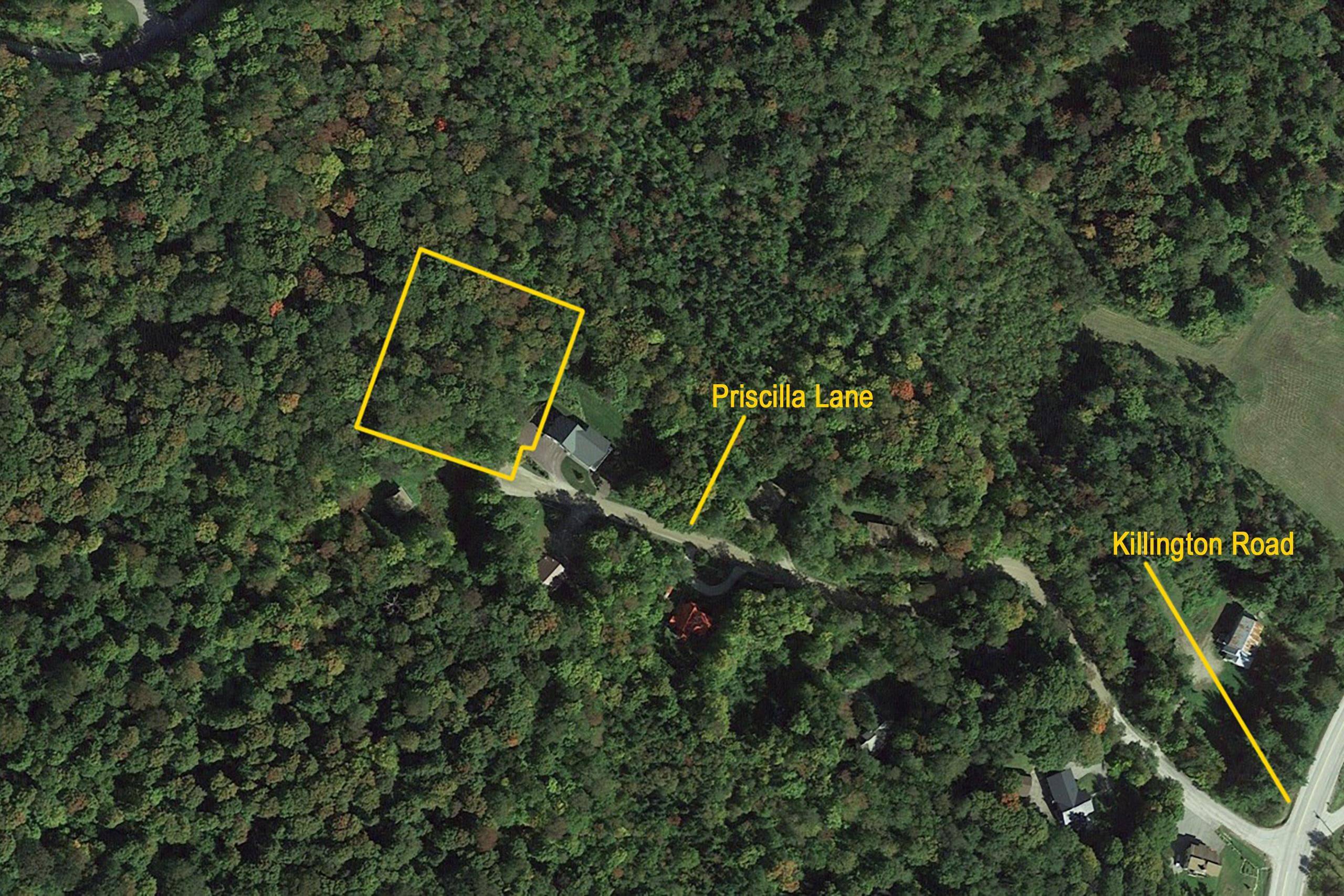 Killington, VT 05751,22-145 Priscilla LN