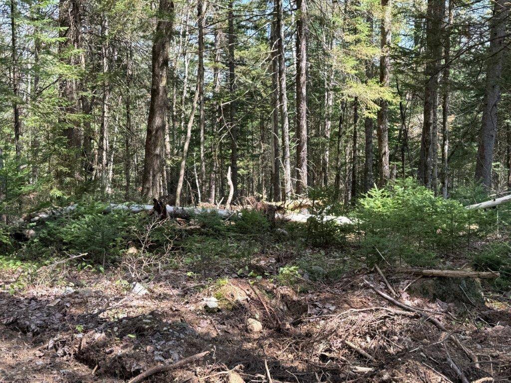 Grafton, NH 03240,Lot 3 NH Route 4A