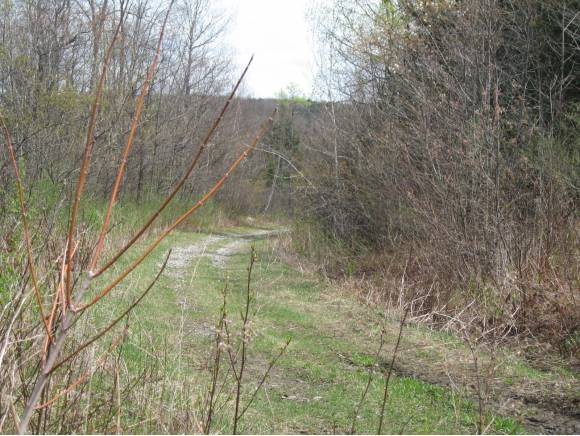 Hardwick, VT 05643,00 Wright Farm RD