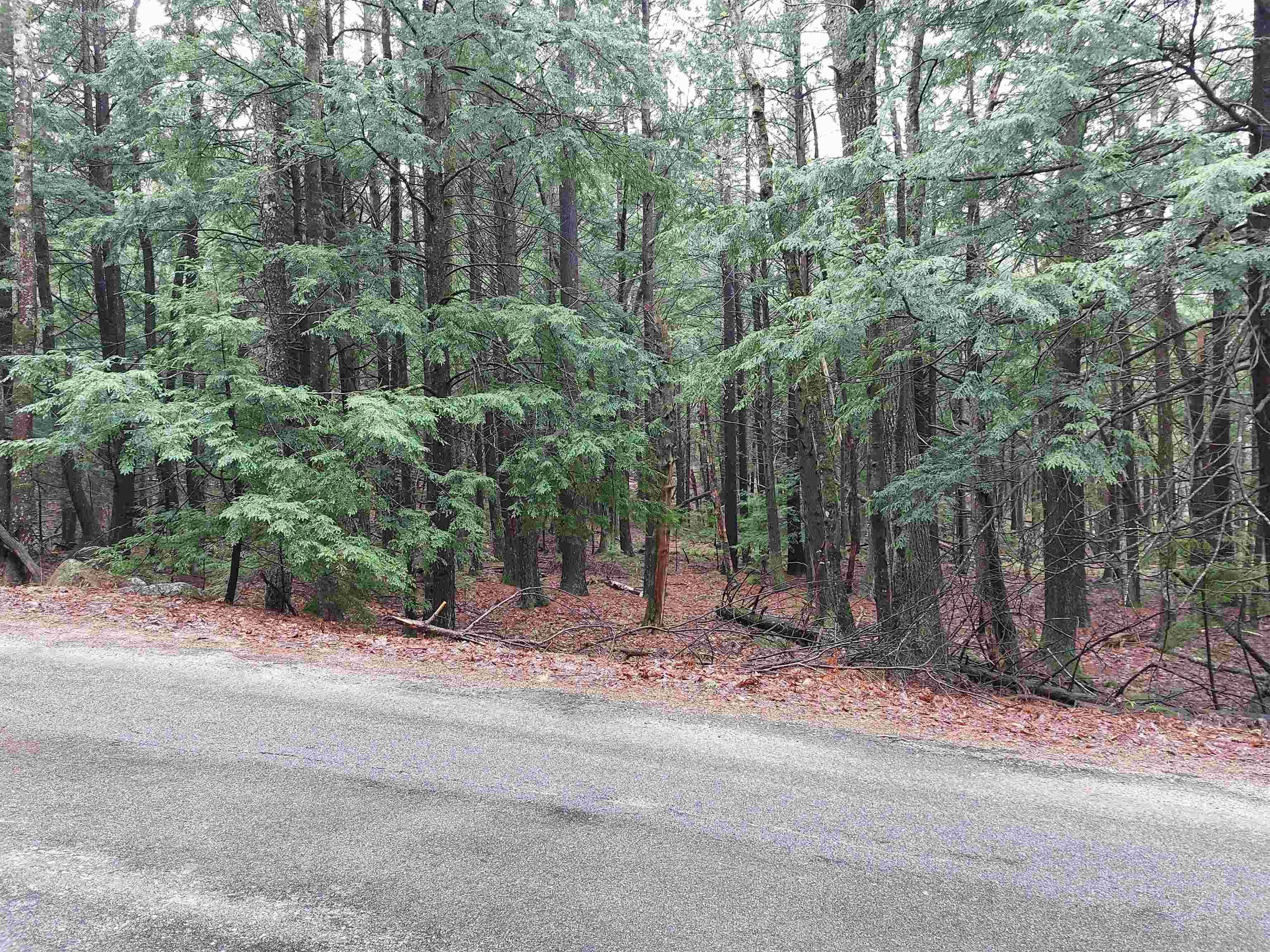 Peterborough, NH 03458,0 Murphy RD
