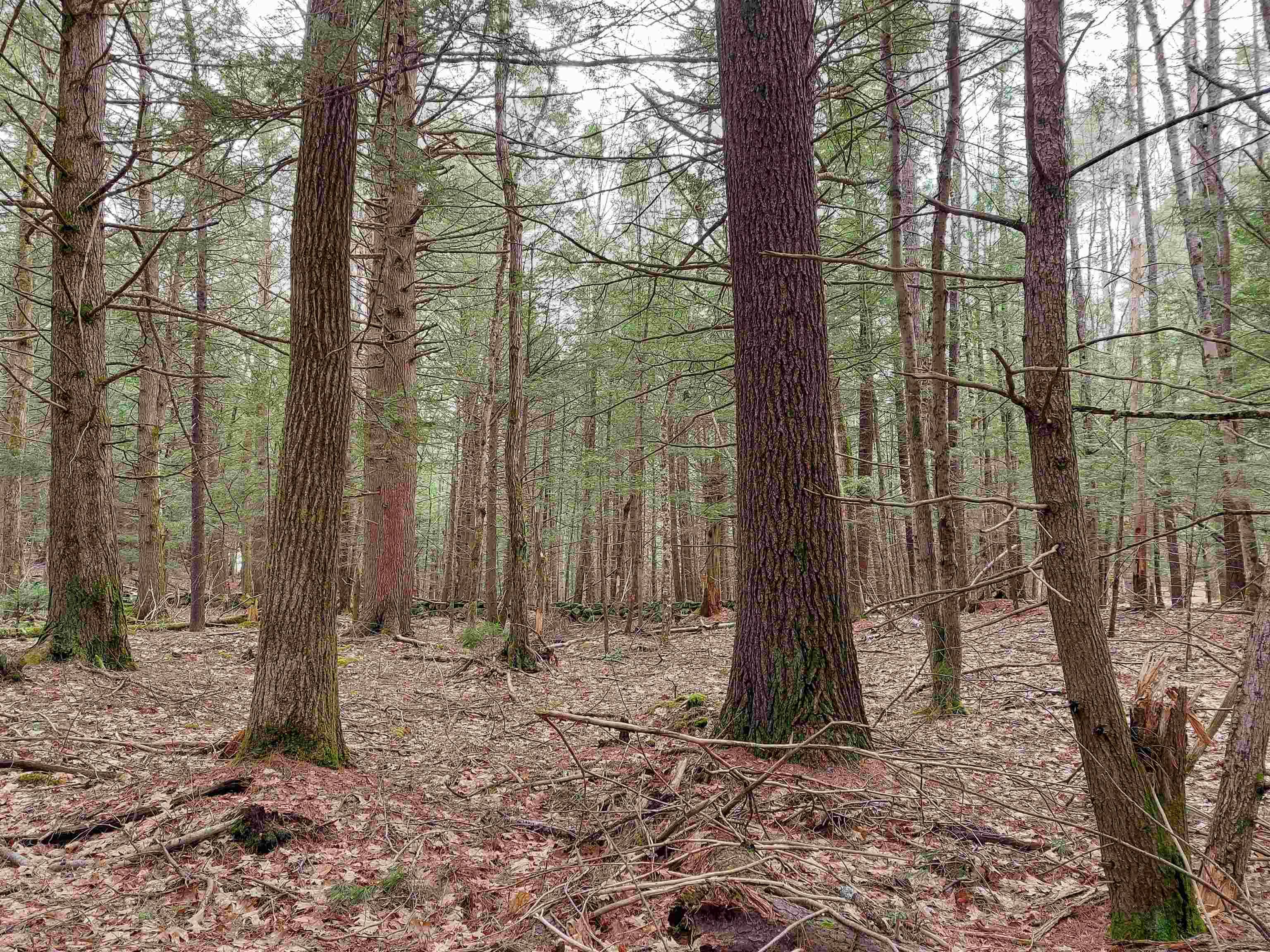 Peterborough, NH 03458,0 Murphy RD