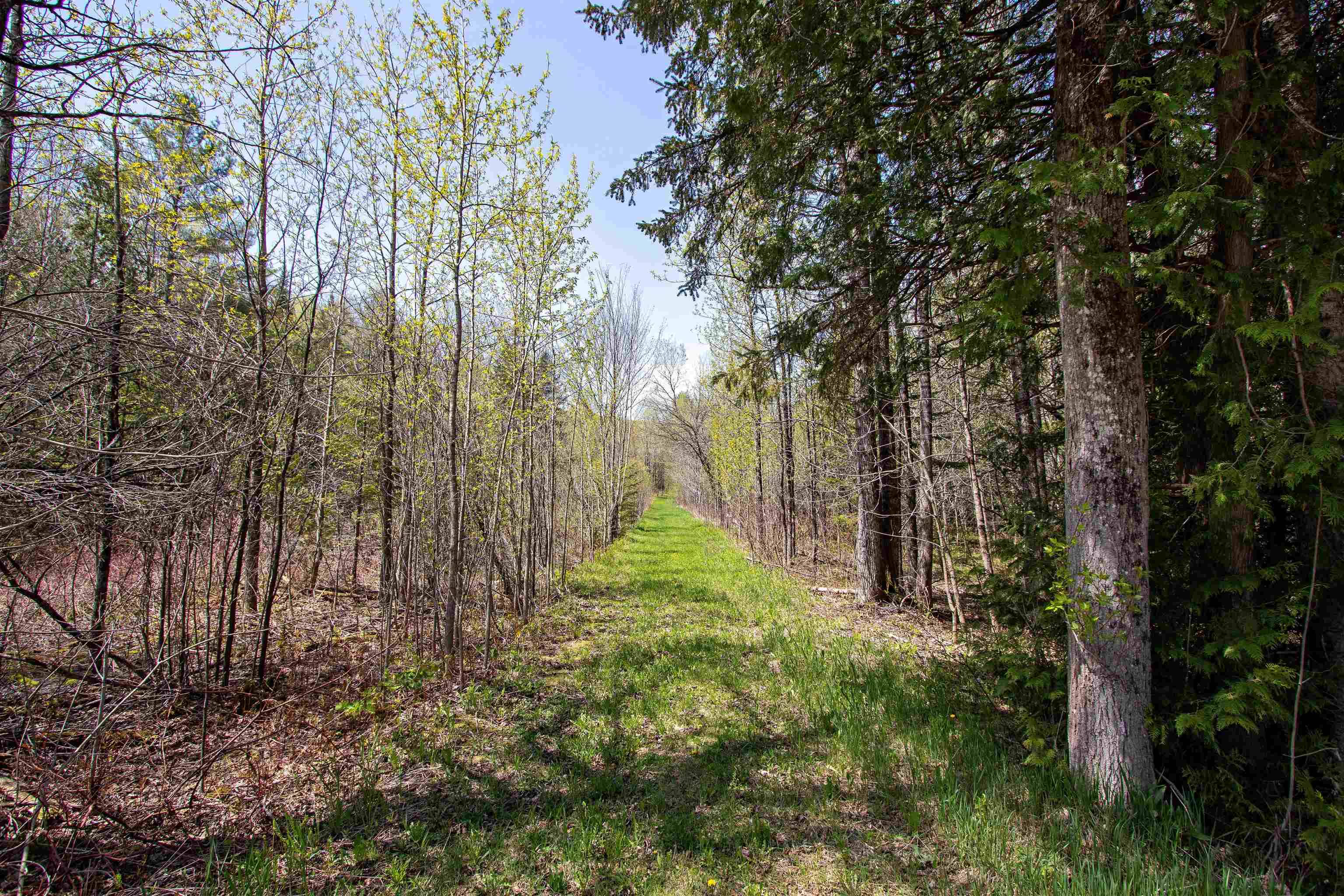 Danville, VT 05828,00 McDowell RD