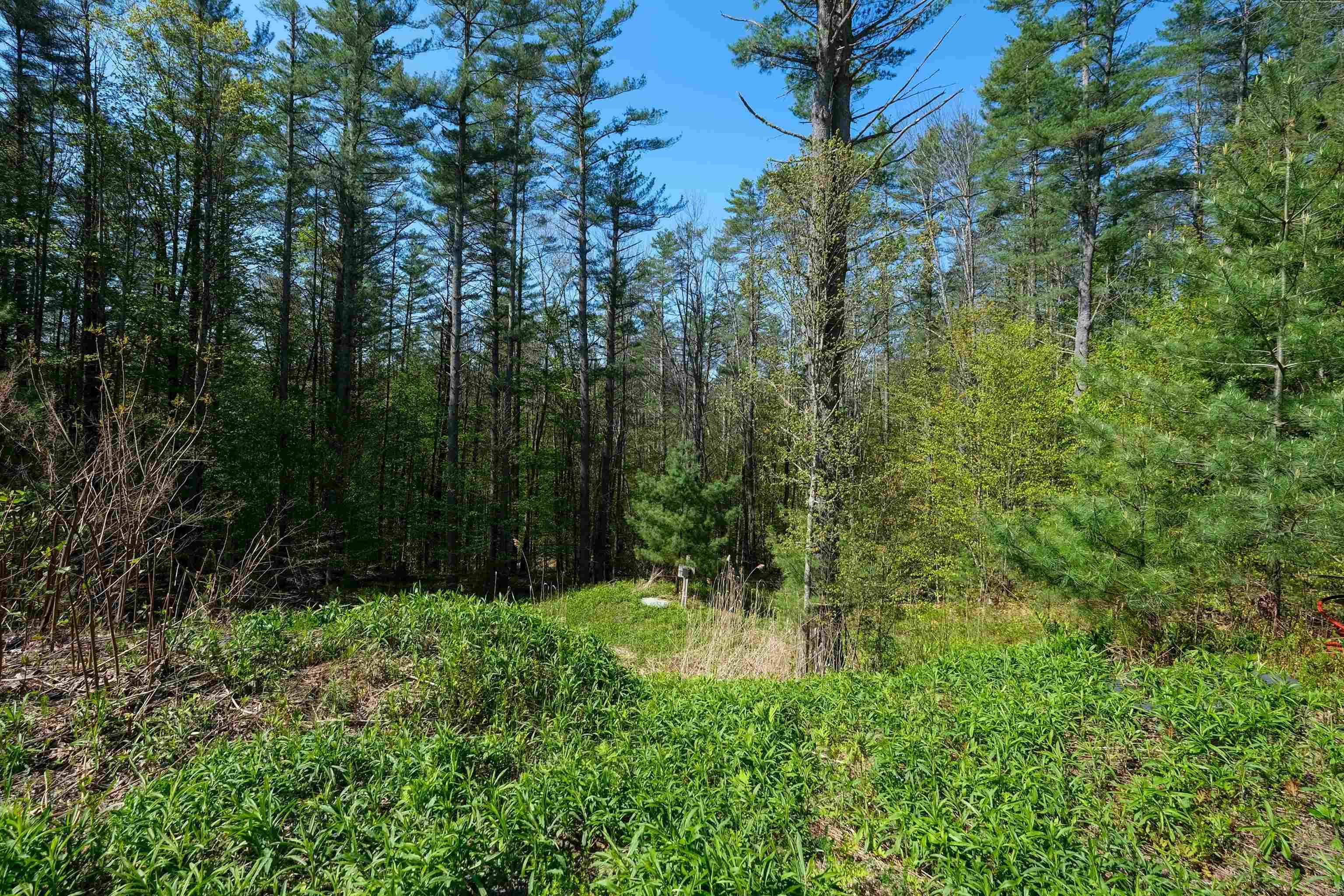 Ludlow, VT 05149,0 Cedar DR