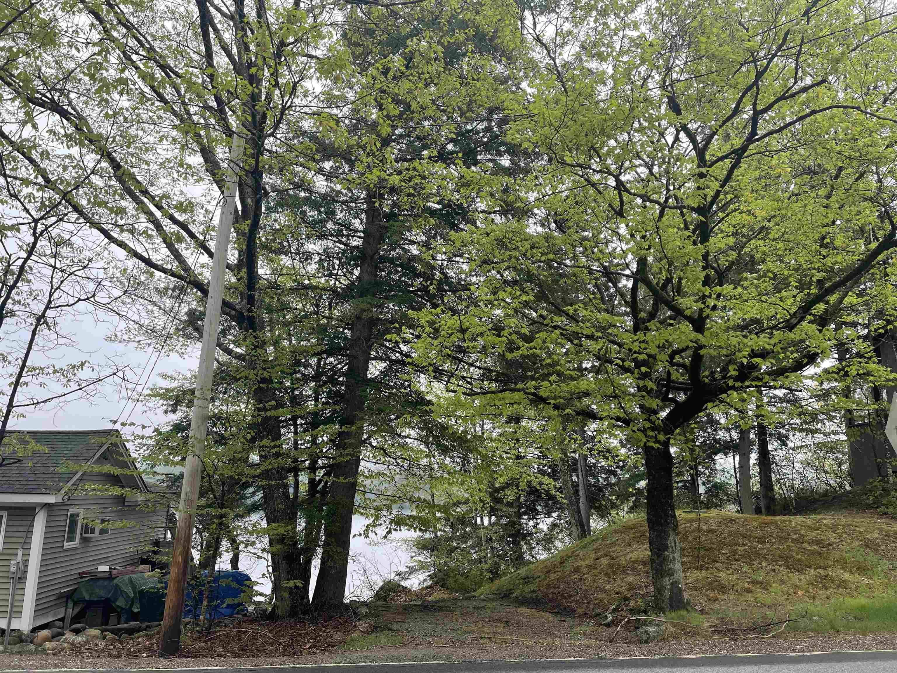 Stoddard, NH 03464,Map 135 Lot 13 Route 123
