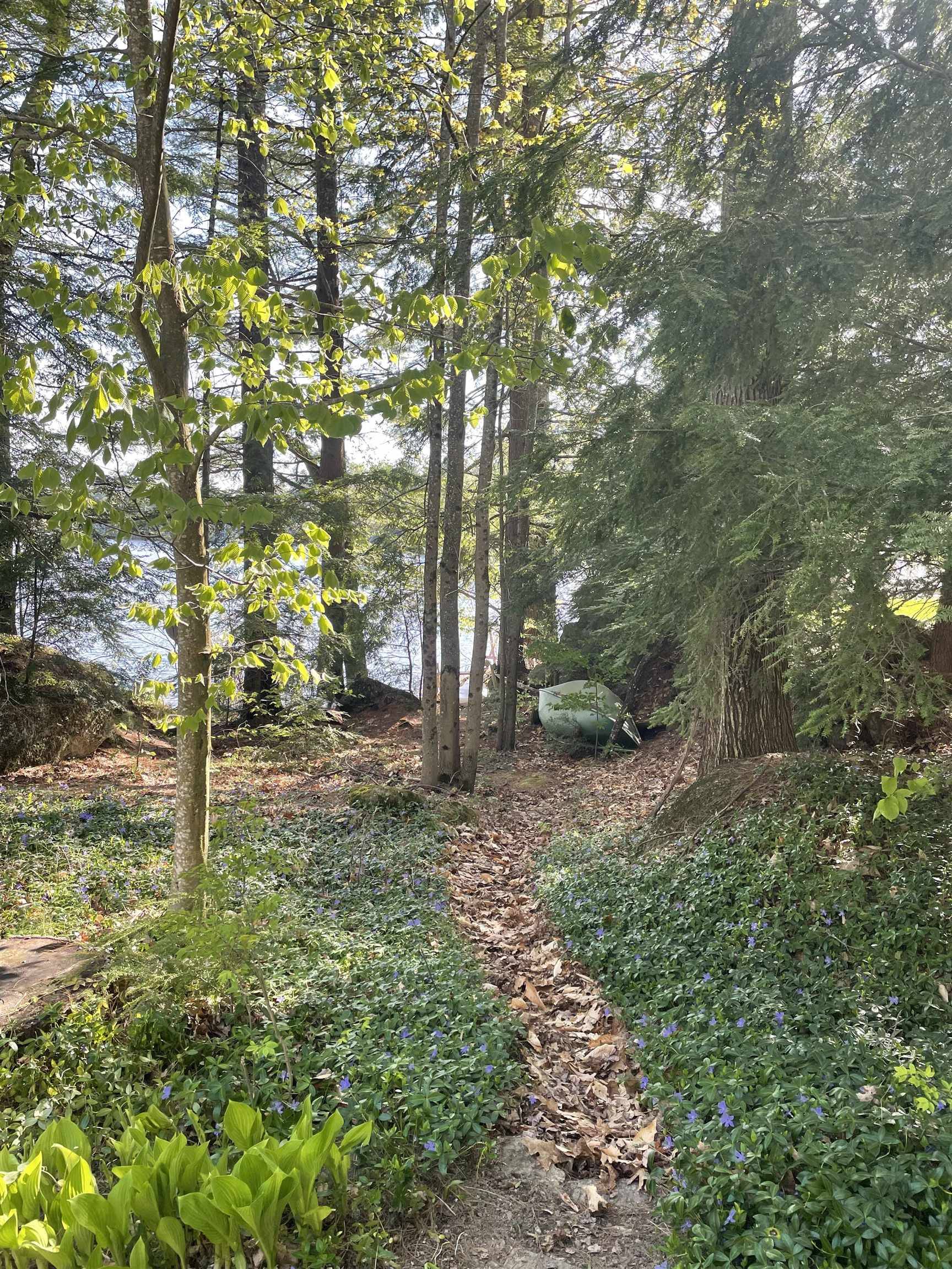 Stoddard, NH 03464,Map 125 Lot 22 Walker RD #22