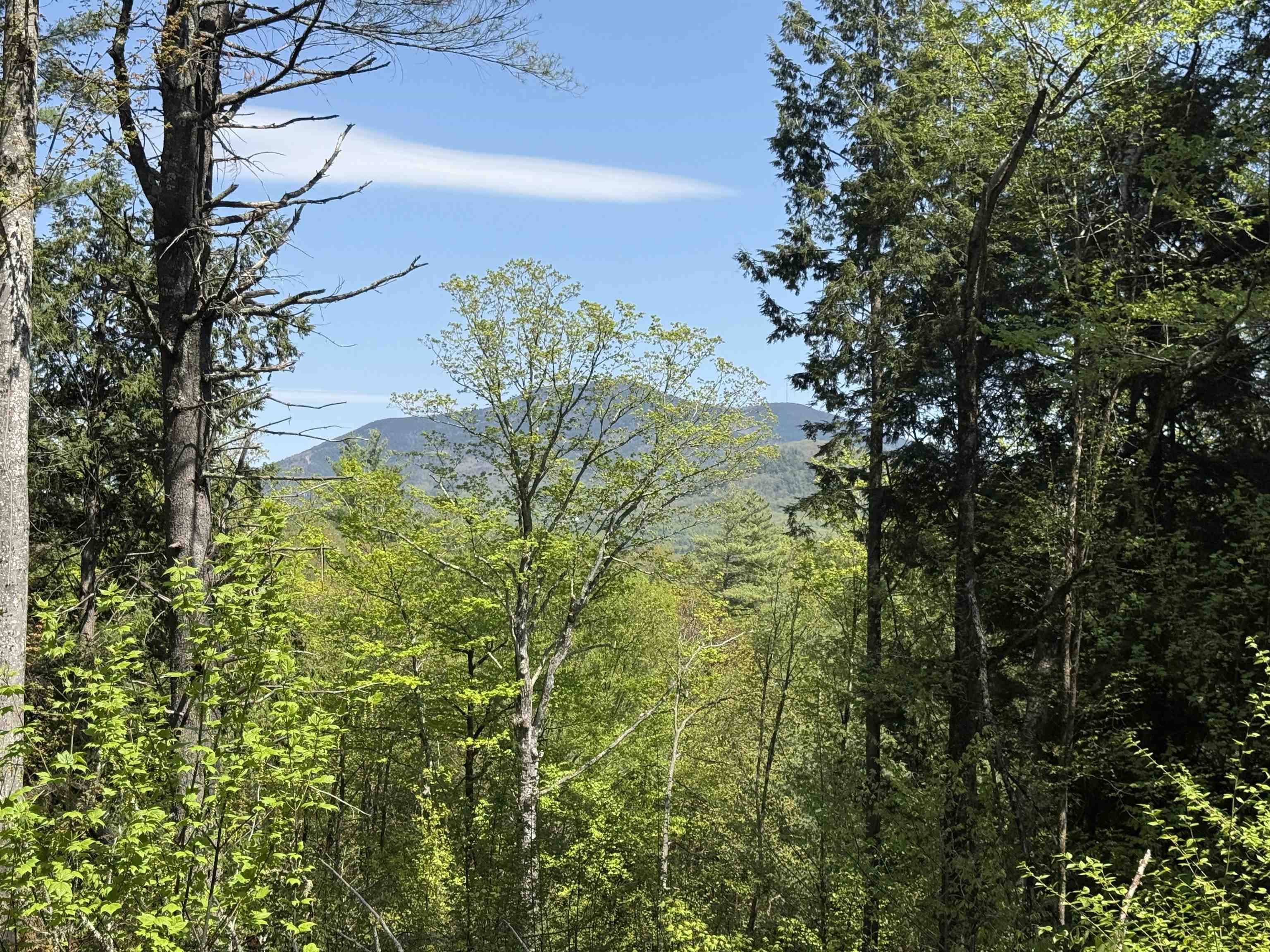 Cavendish, VT 05142,00 Senna RD