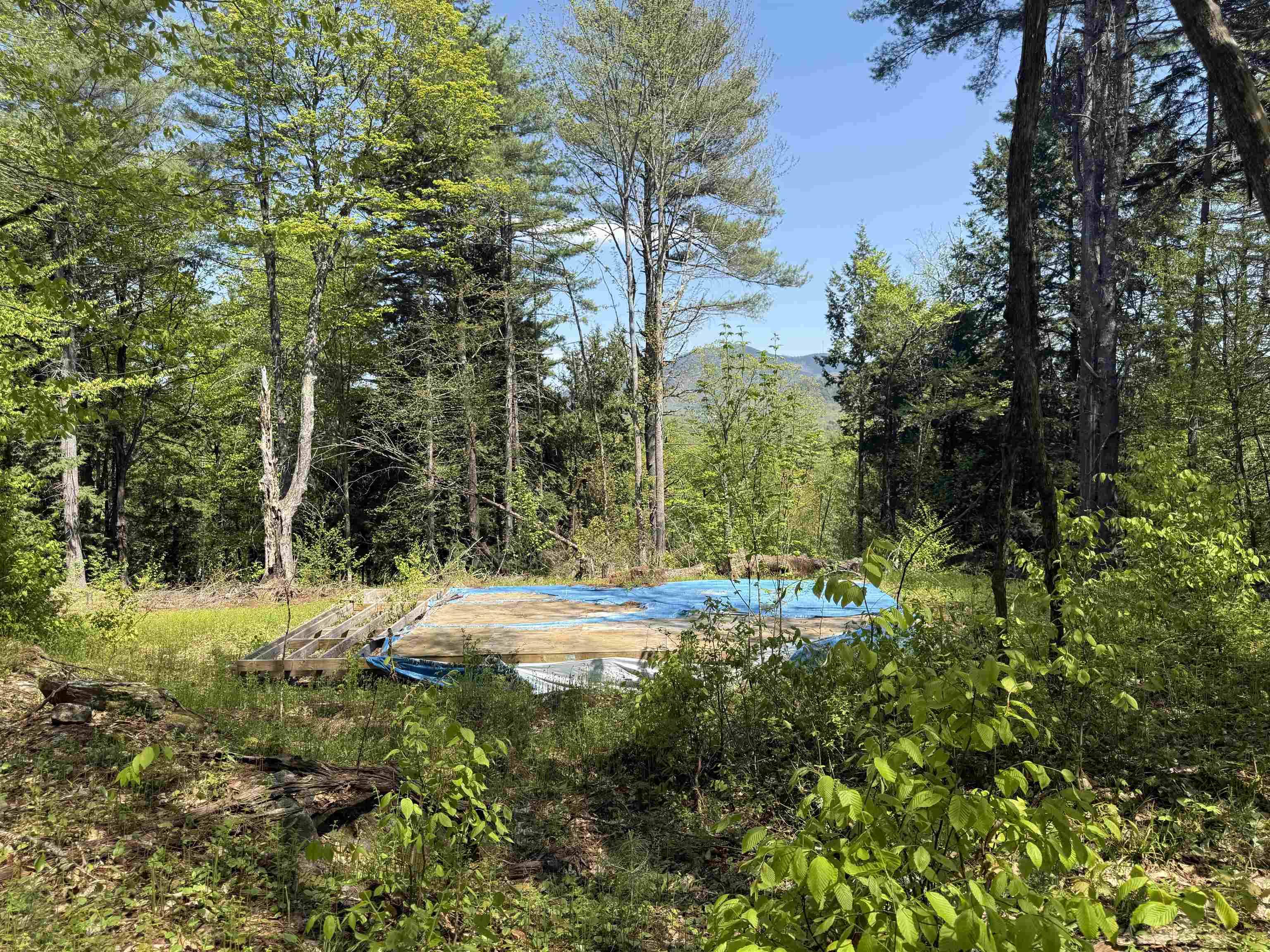Cavendish, VT 05142,00 Senna RD