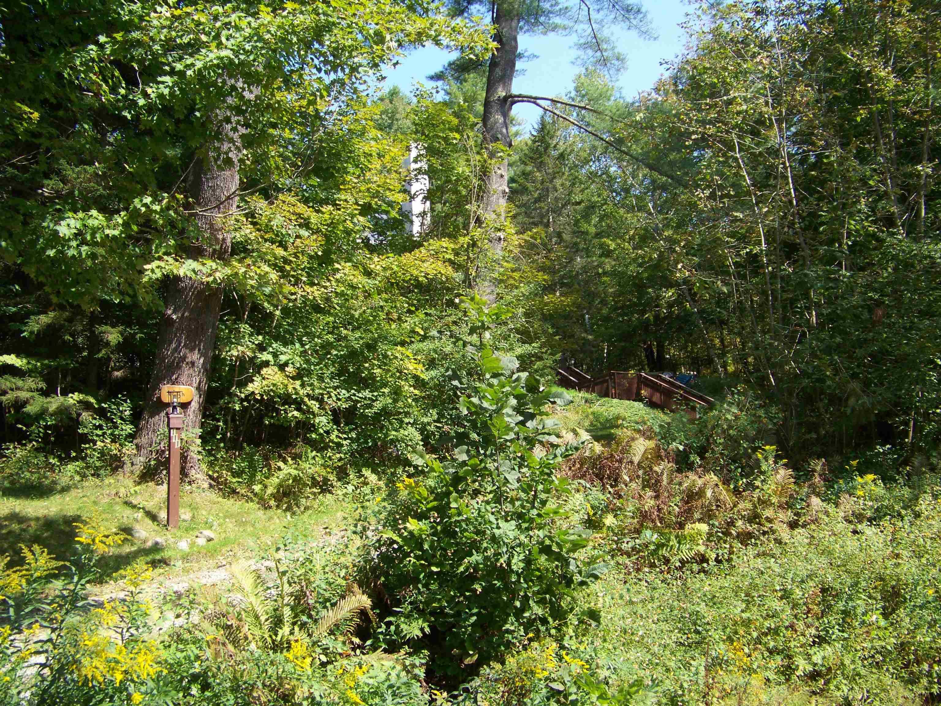 Rochester, VT 05767,111 Forest LN
