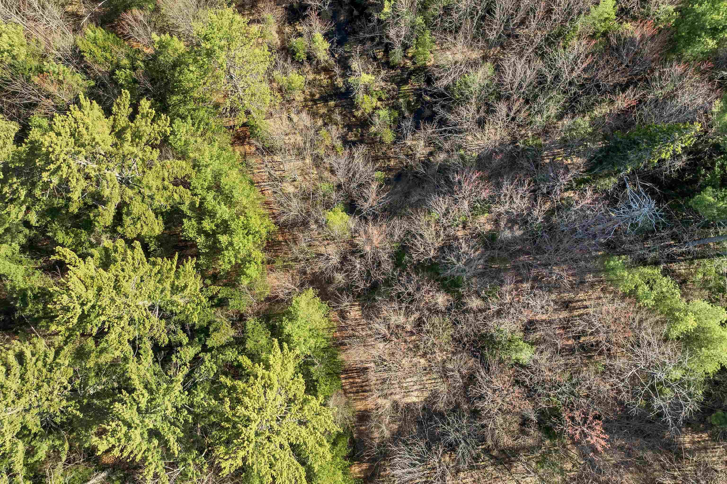 00 Middle RD Sandwich, NH 03227