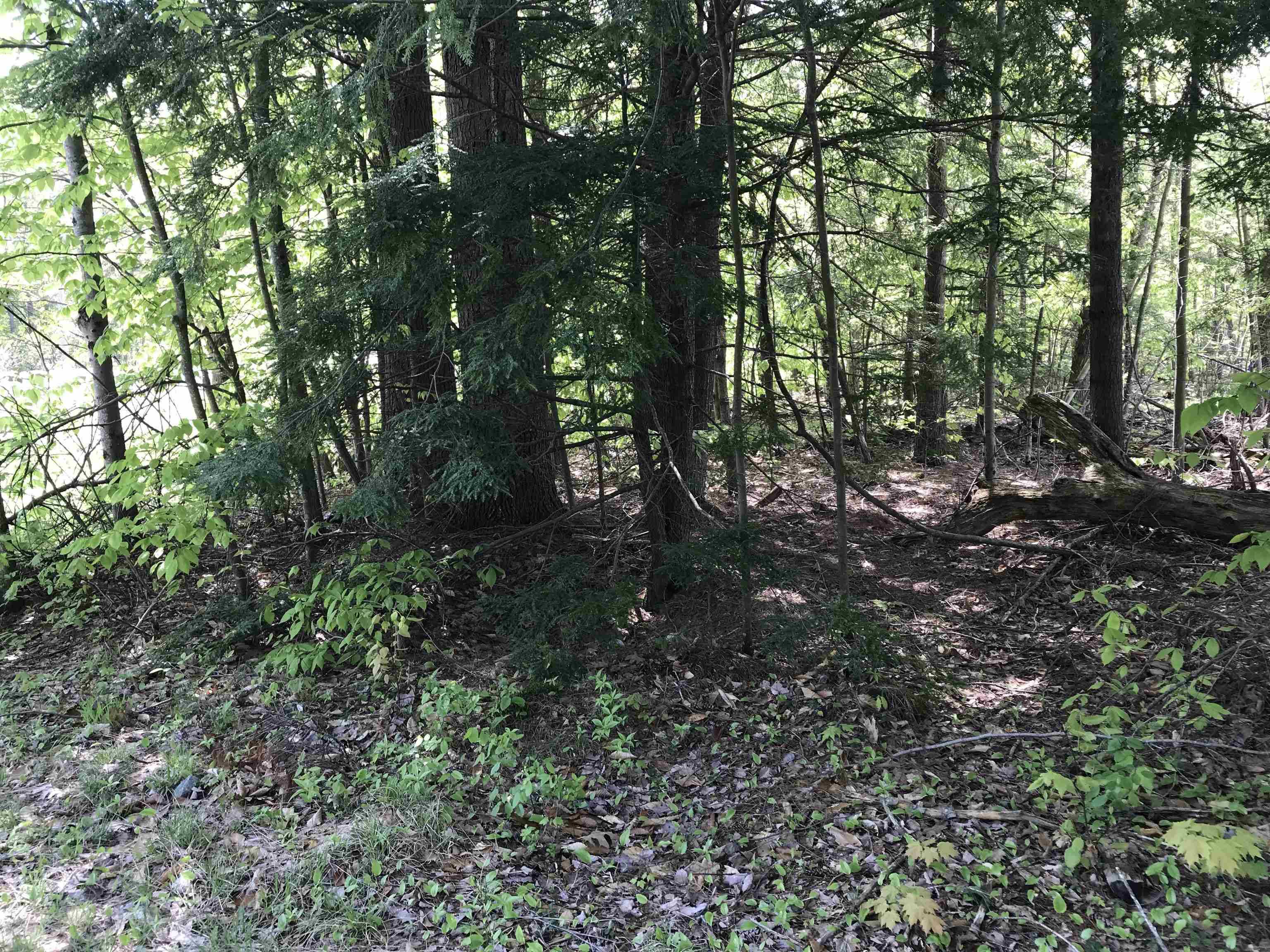 Stoddard, NH 03464,42-11 Route 9