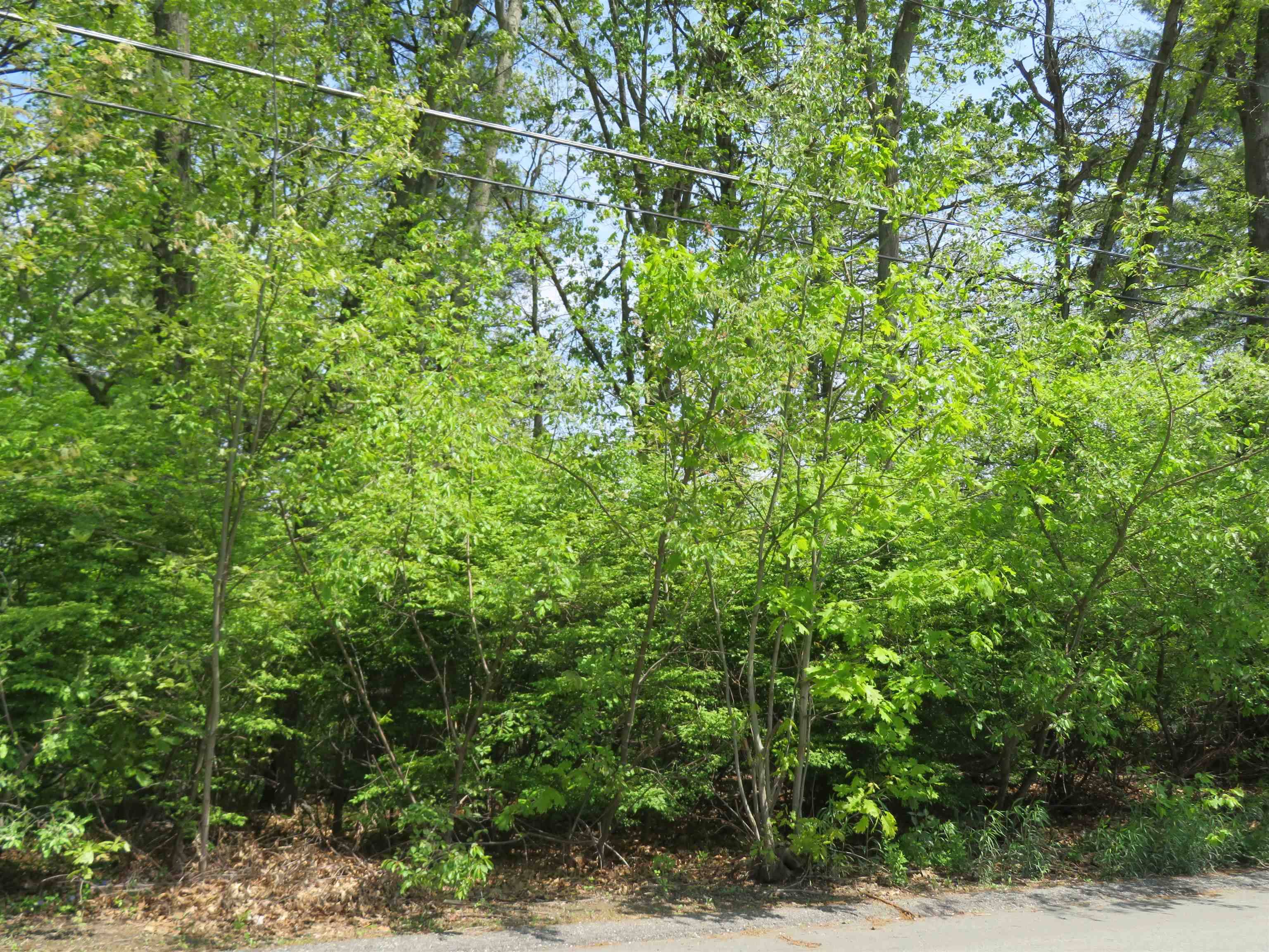 Nashua, NH 03060,Lot 653 Farmington RD
