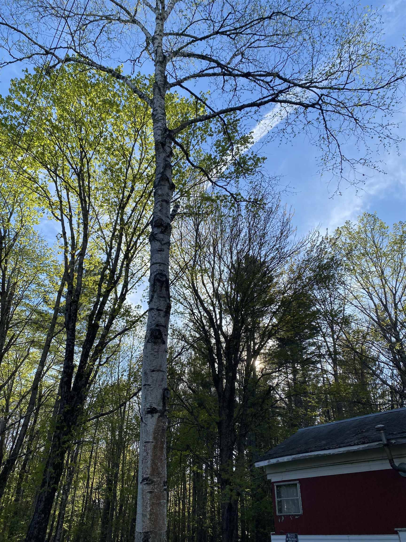 932 Baptist Hill RD Lunenburg, VT 05906
