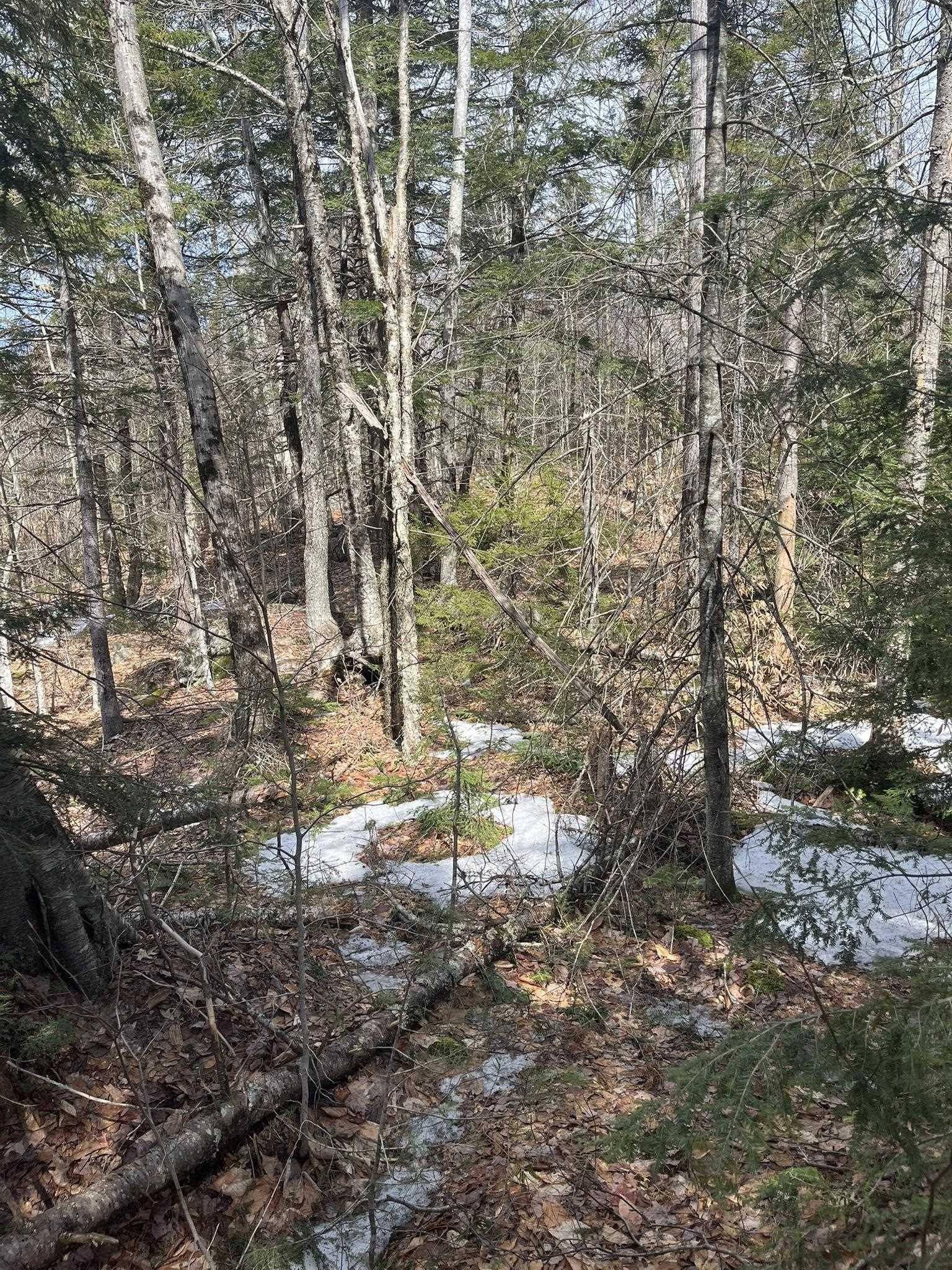 Washington, NH 03280,East Washington RD #Lots 77-6 & 77-7