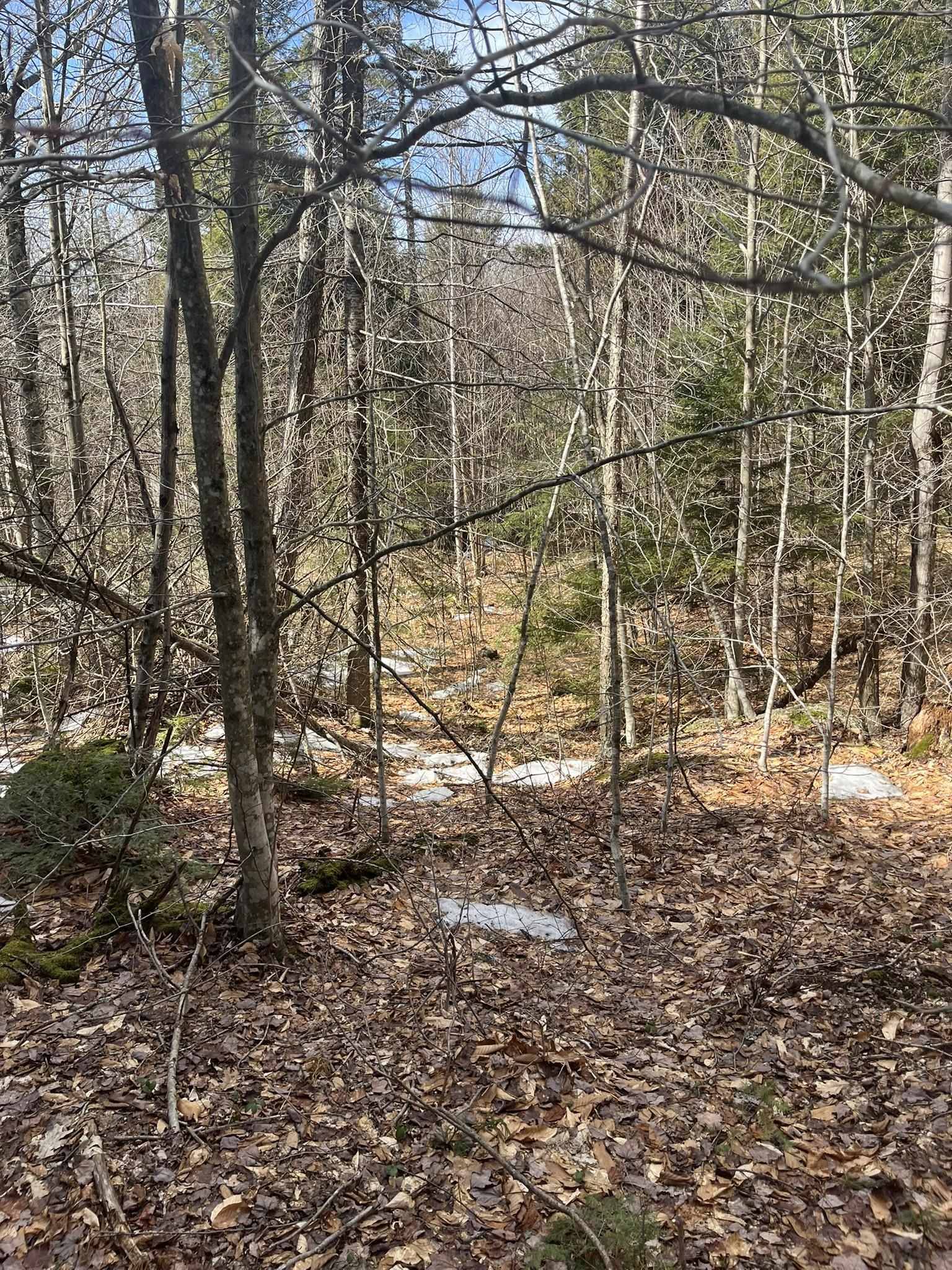 Washington, NH 03280,East Washington RD #Lots 77-6 & 77-7