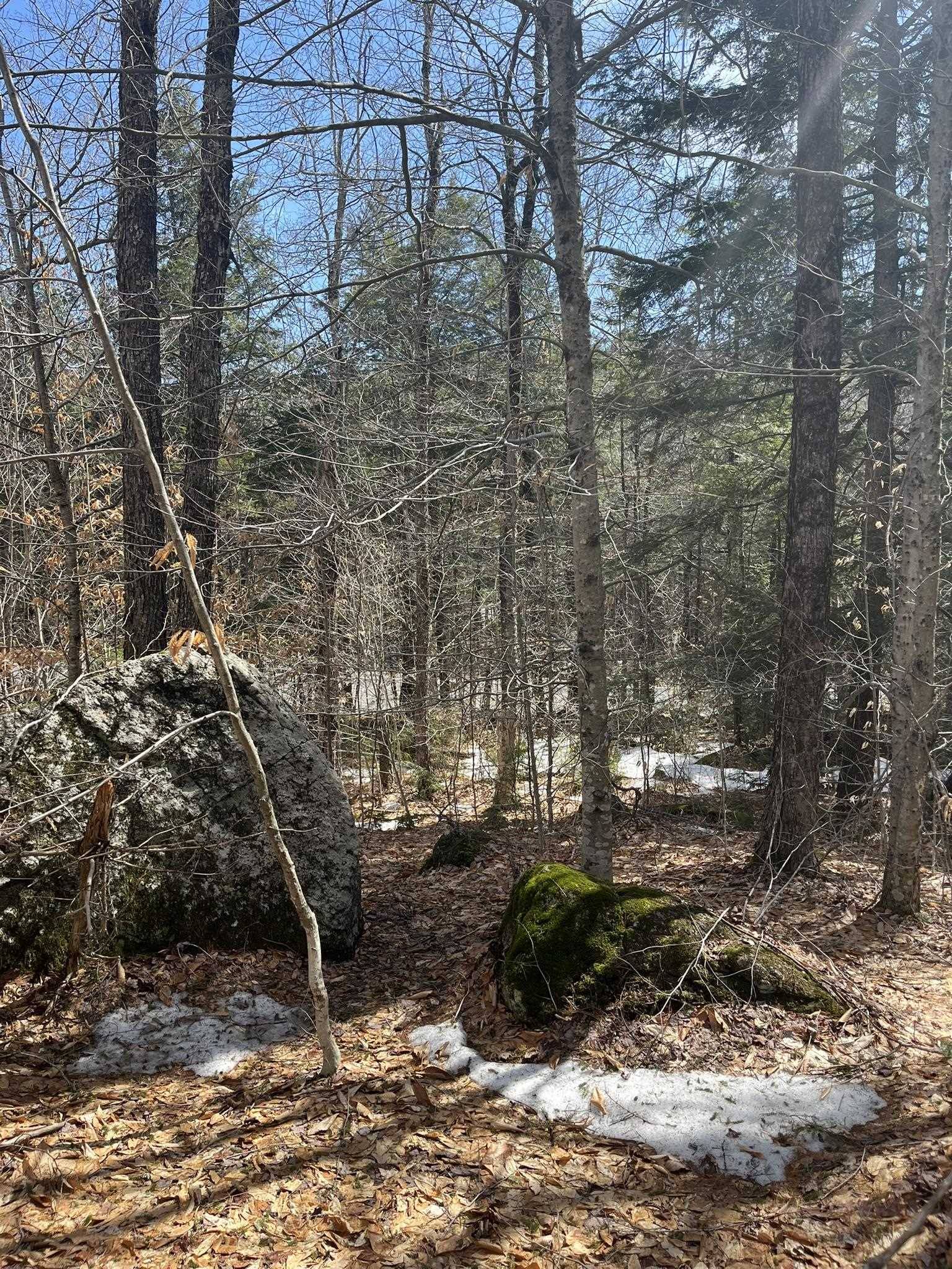 Washington, NH 03280,East Washington RD #Lots 77-6 & 77-7