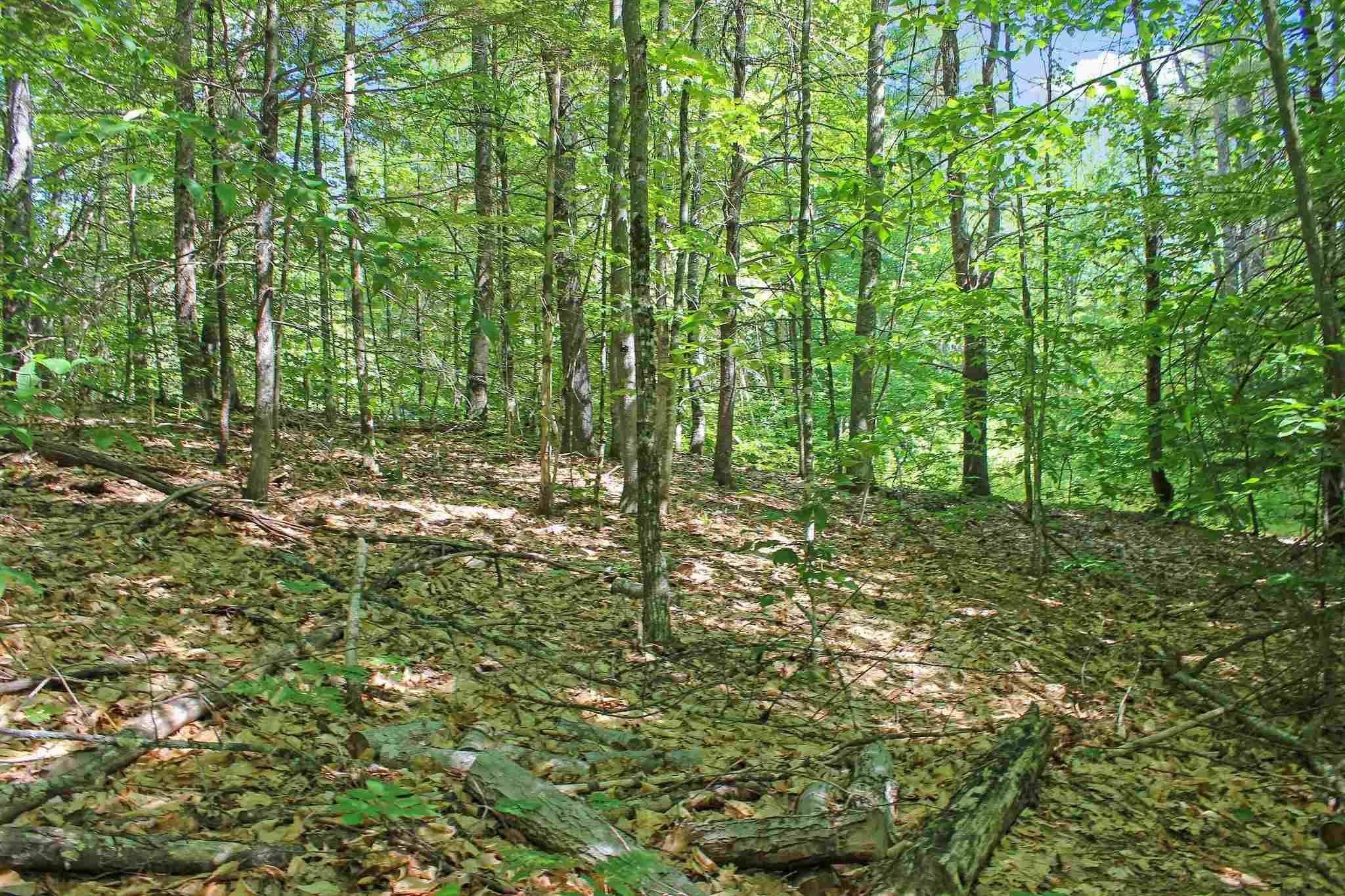 Ossipee, NH 03864,4 John TER