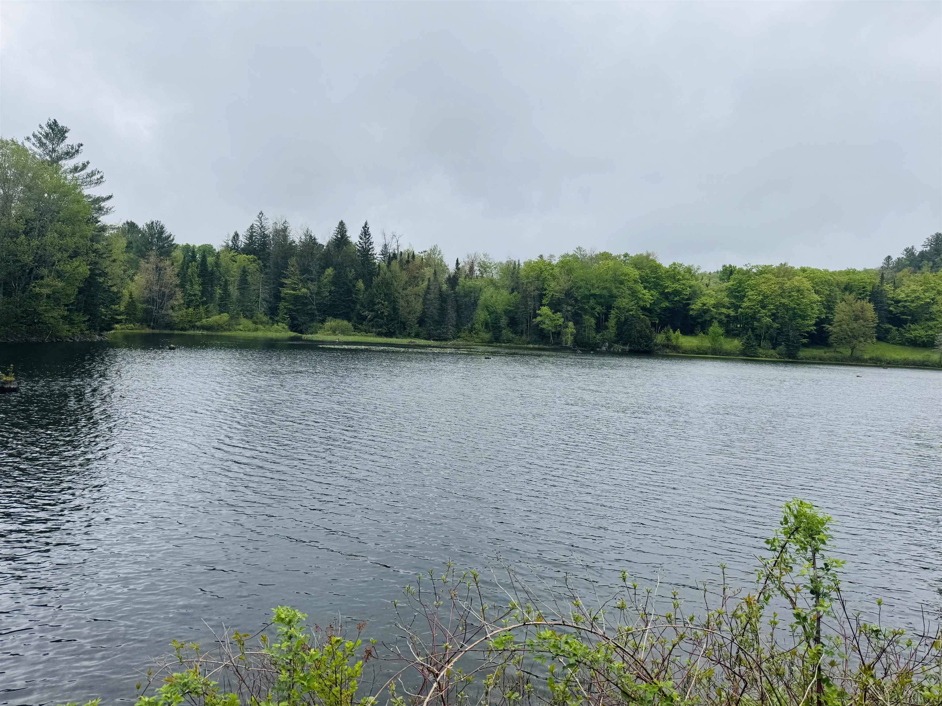 Woodbury, VT 05681,33 Mill Pond LN