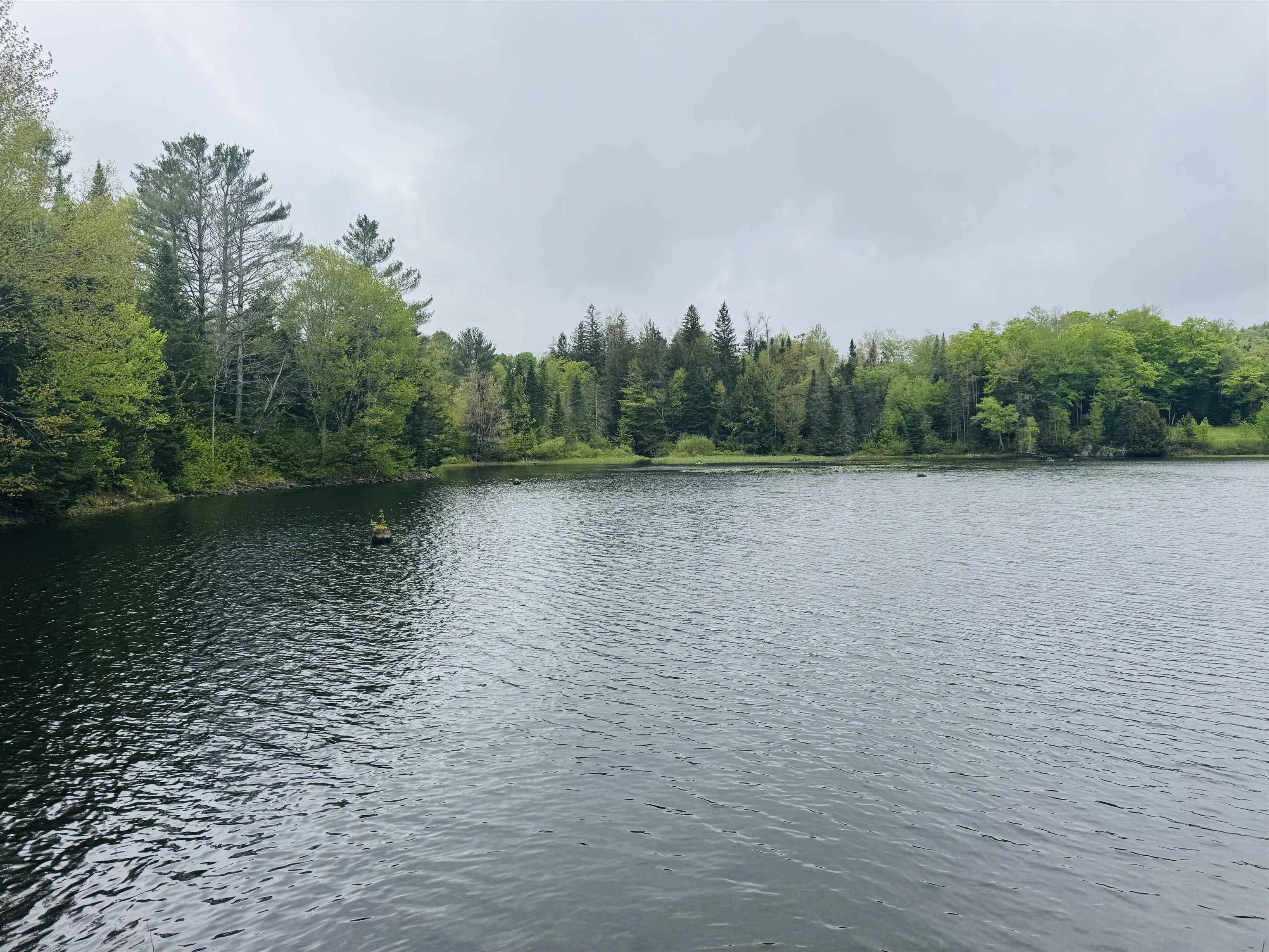 Woodbury, VT 05681,33 Mill Pond LN