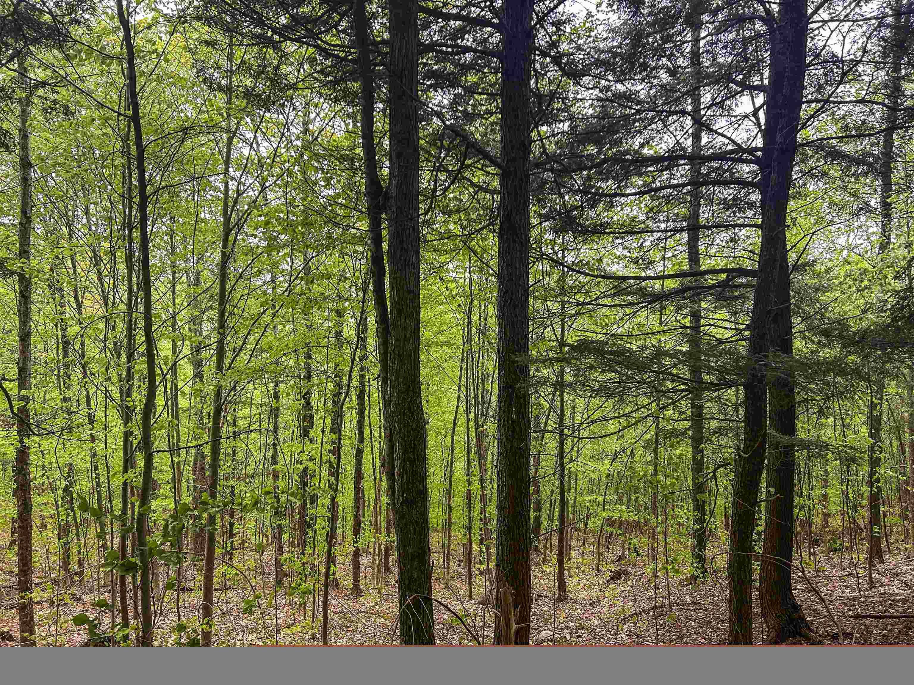 Groton, NH 03266,00 River RD