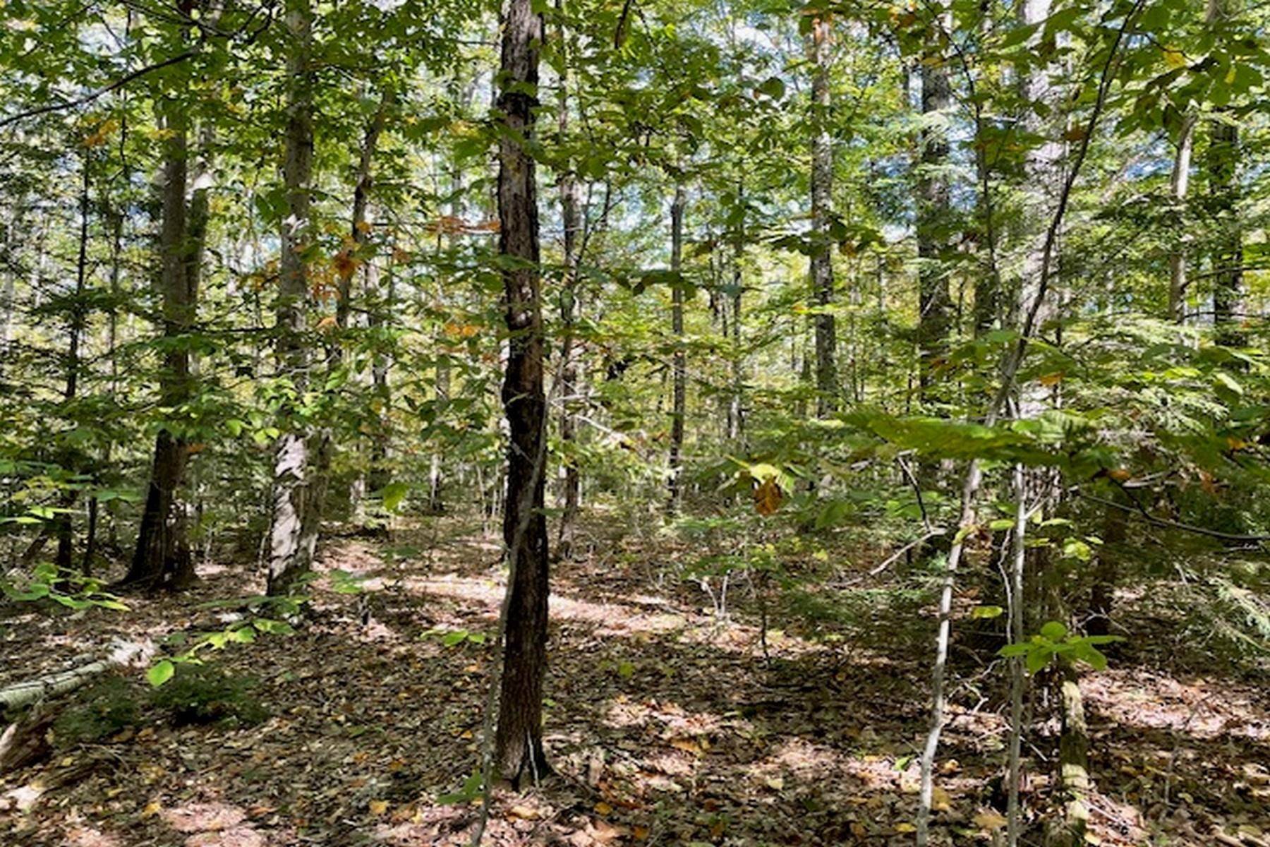 Sharon, NH 03458,0 Route 123