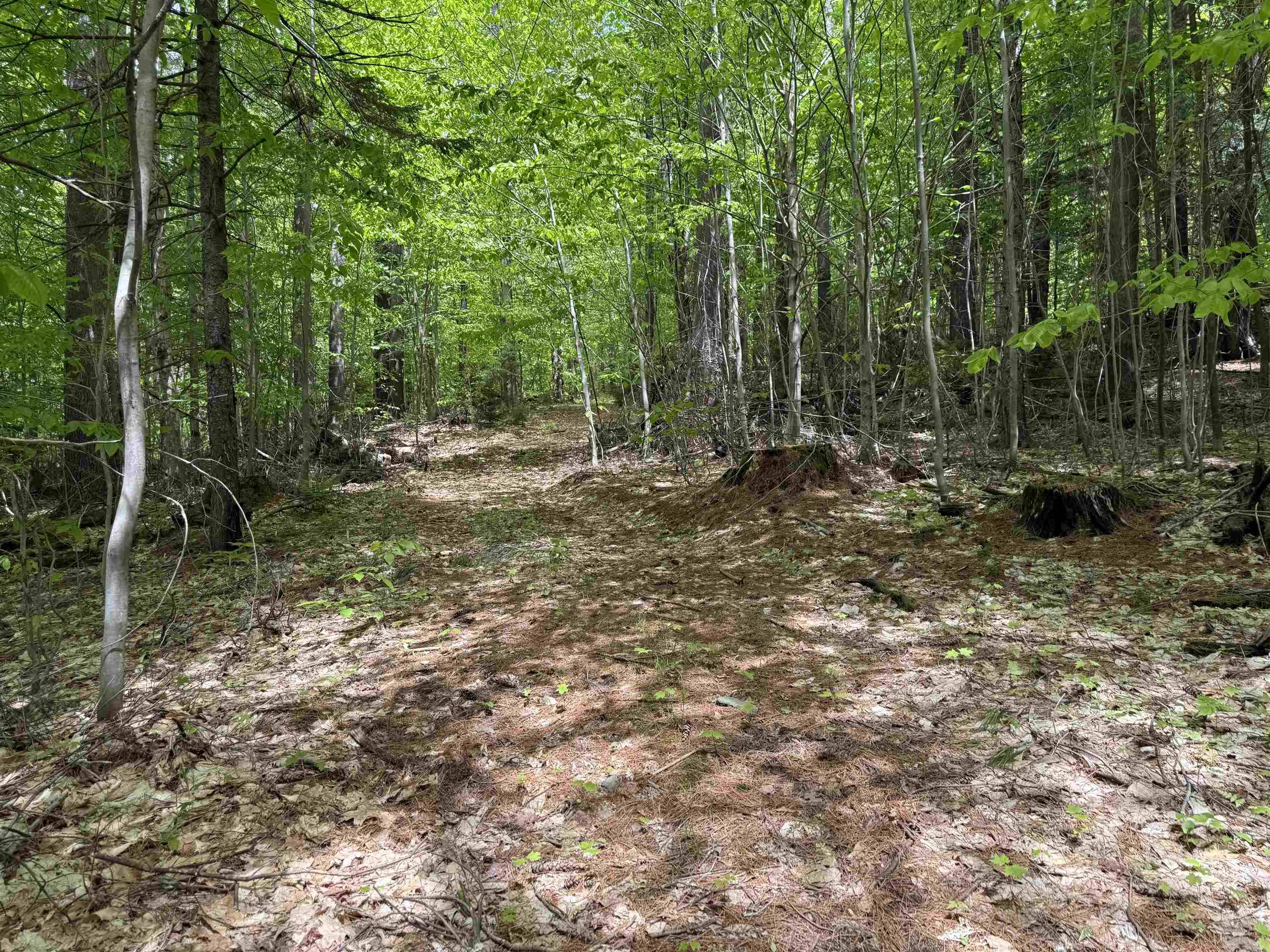 Dover, VT 05431,Lot 3 North ST #45