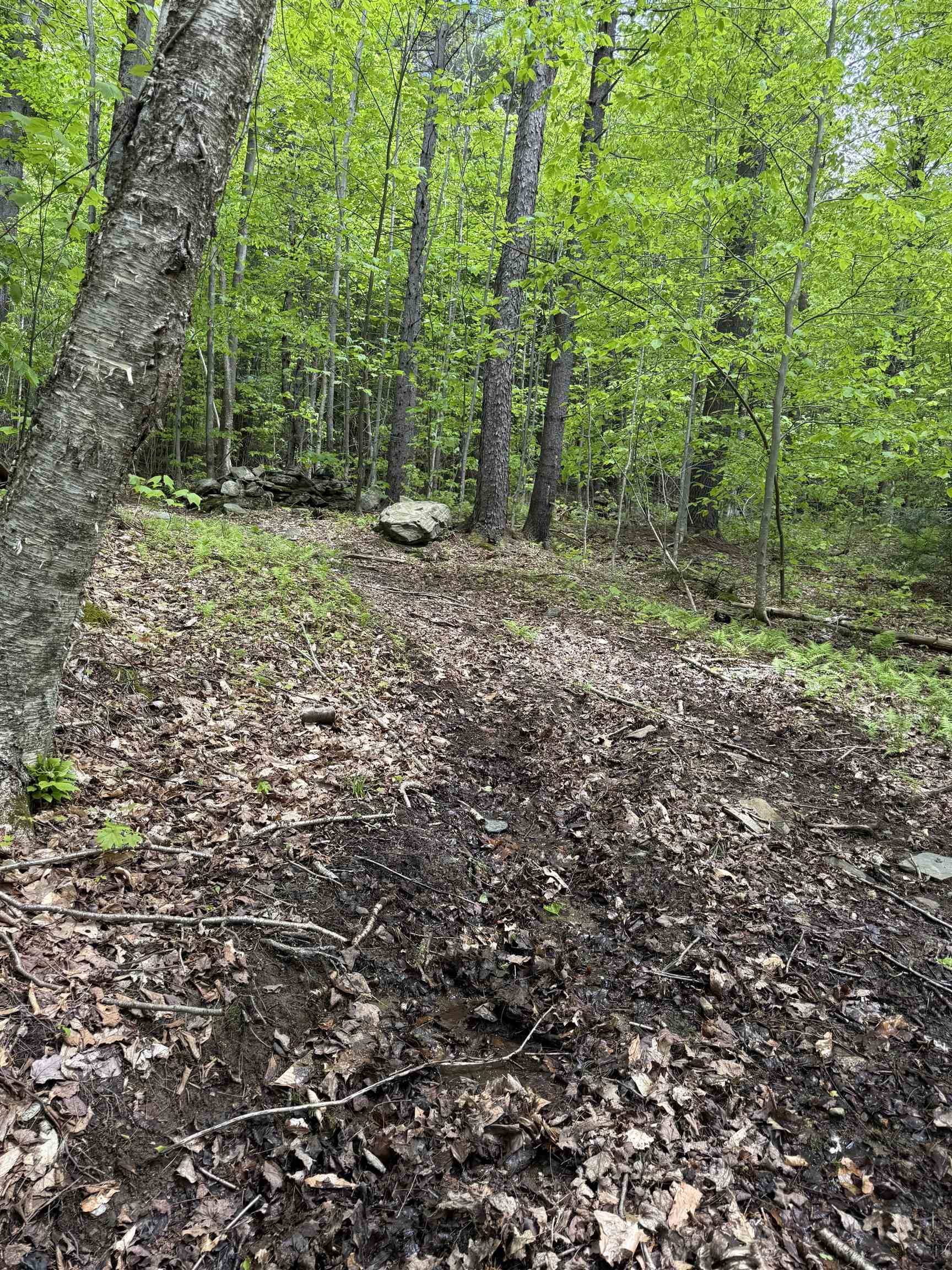 Dover, VT 05431,Lot 3 North ST #45