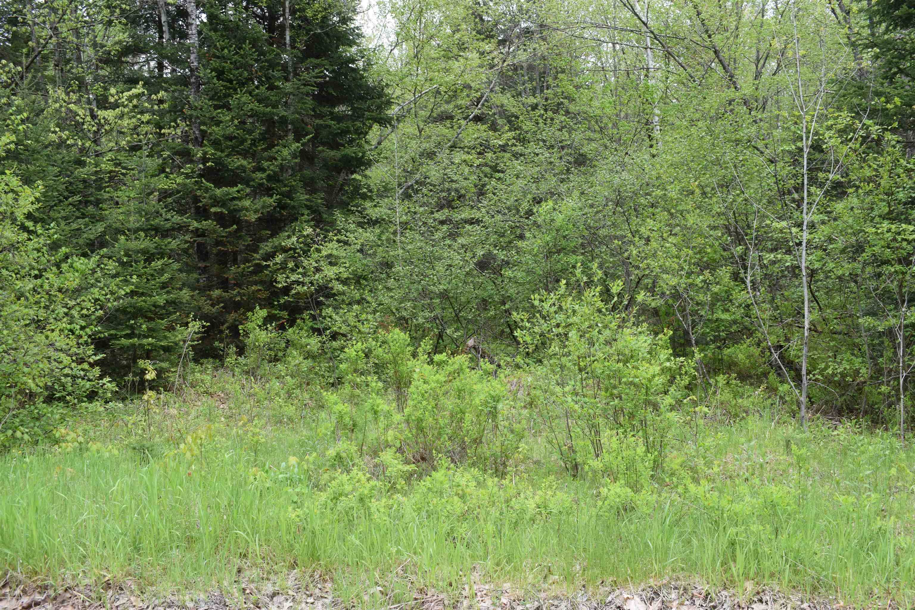 Dalton, NH 03598,0 Faraway RD