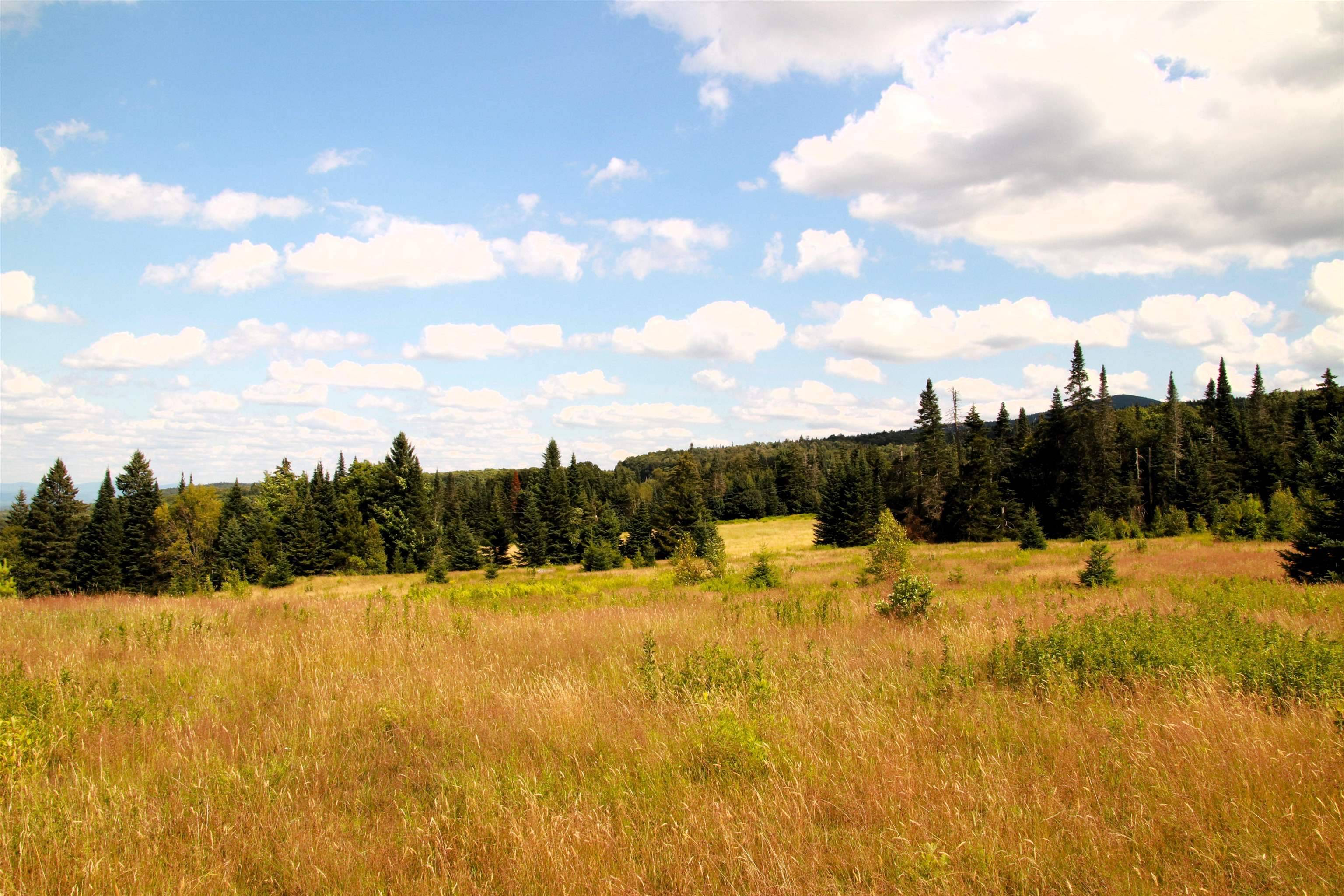 Westmore, VT 05860,360 Coles RD