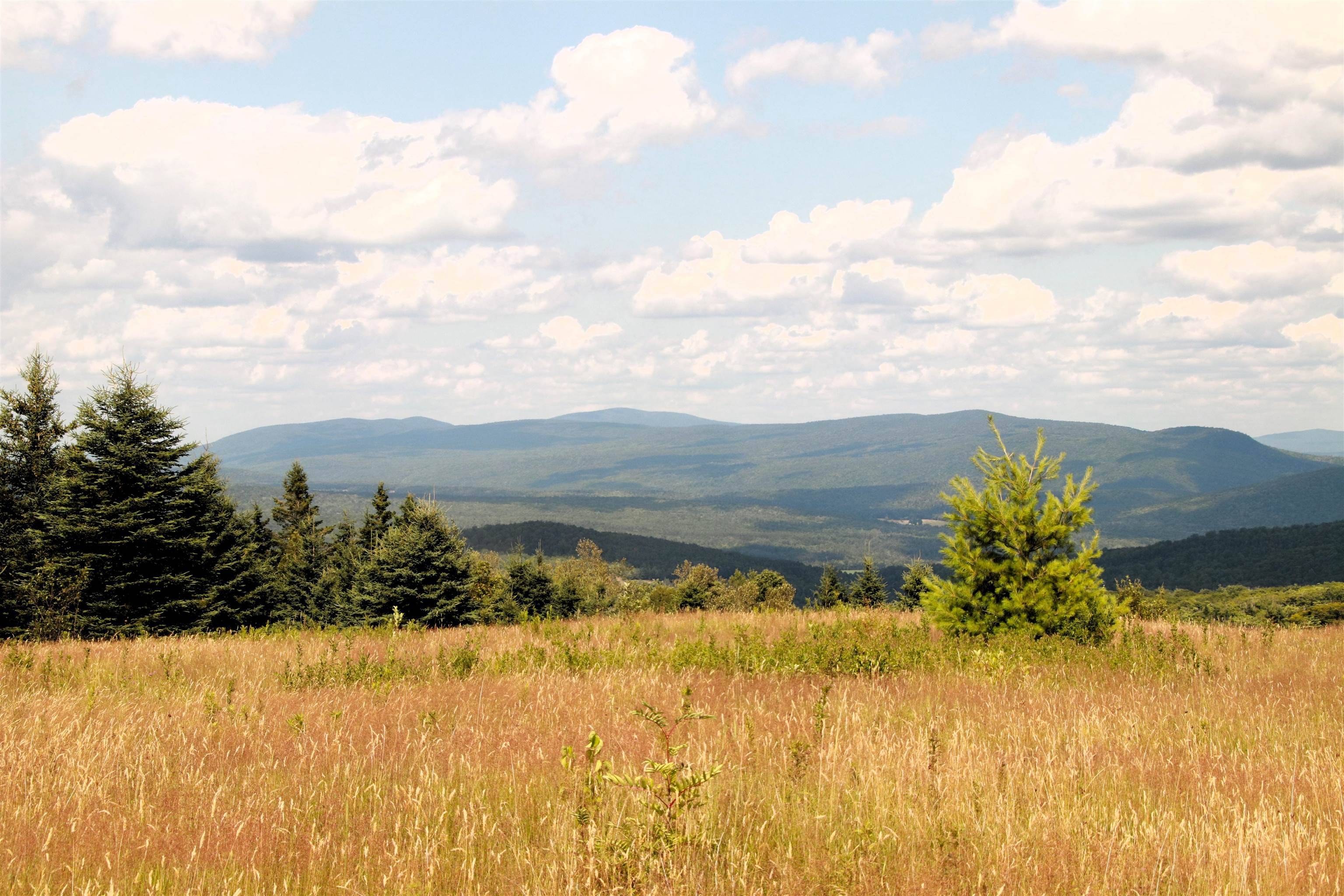Westmore, VT 05860,360 Coles RD