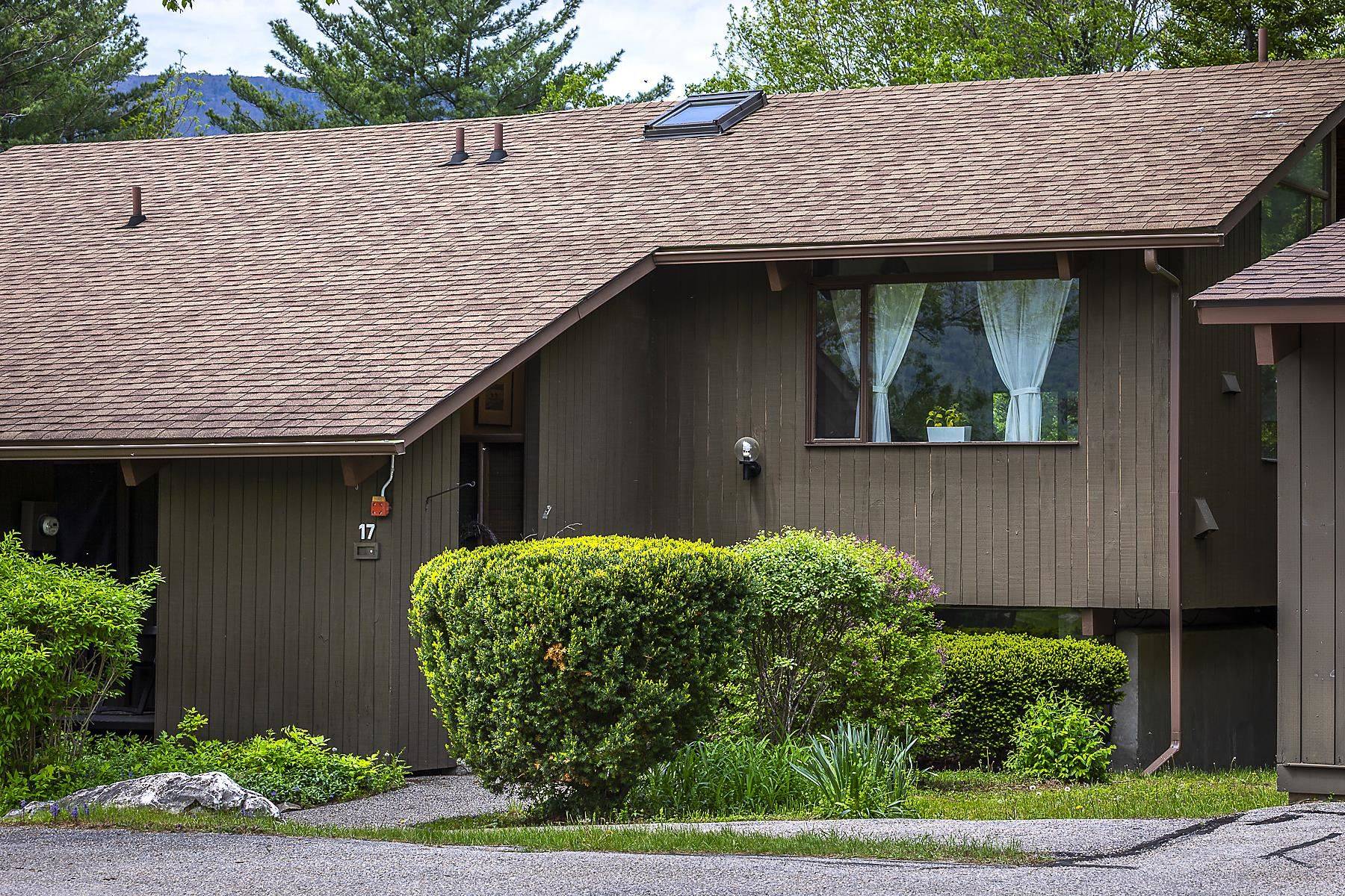 Manchester, VT 05255,46 Murray Hill Heights RD #Unit 17