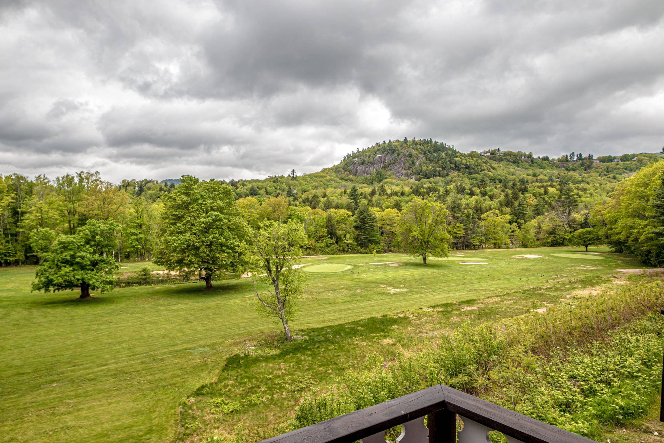 Bartlett, NH 03838,78 Linderhof Golf Course RD #H-11