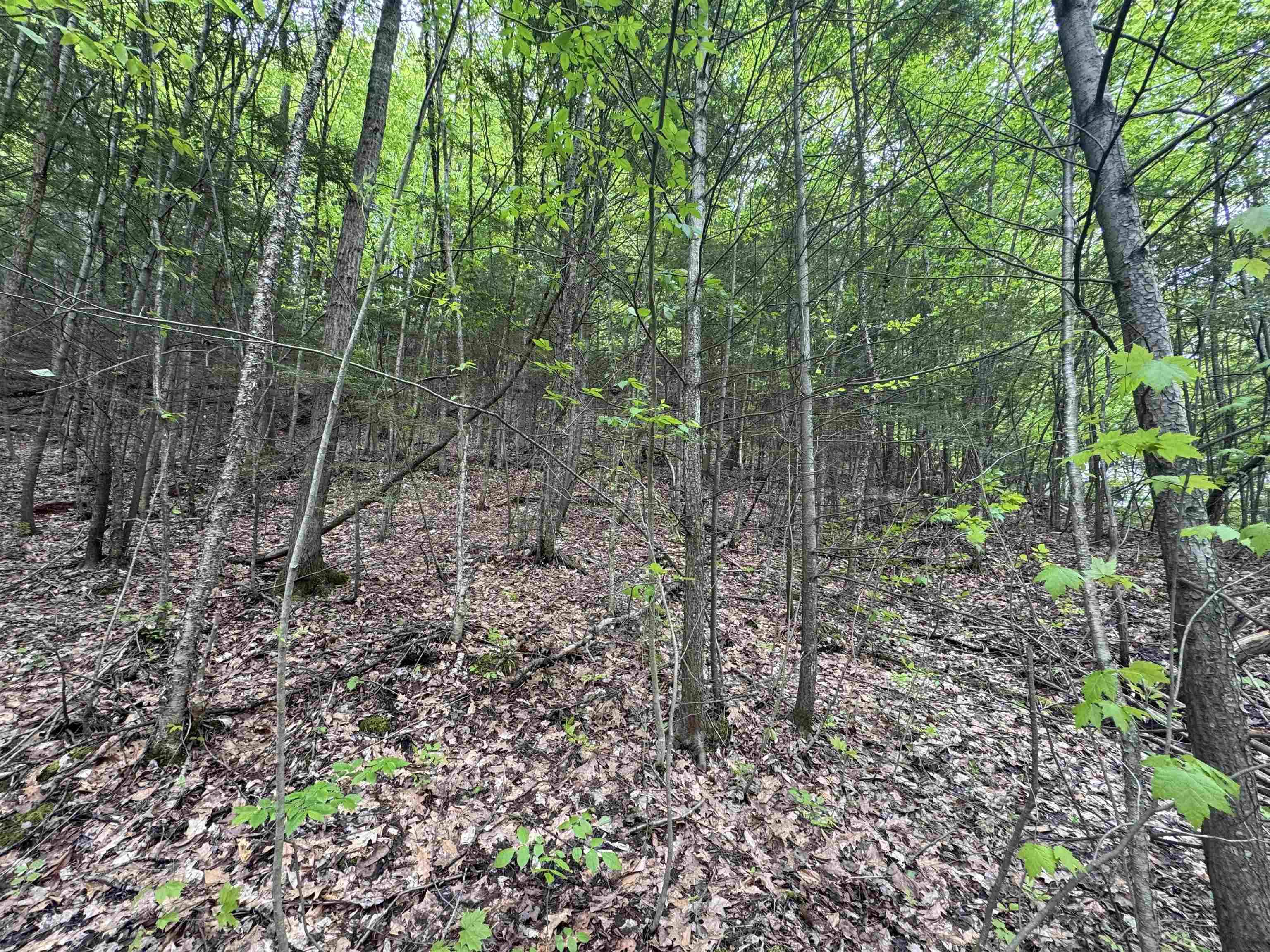 Montpelier, VT 05602,72 Northfield ST #Lot 7