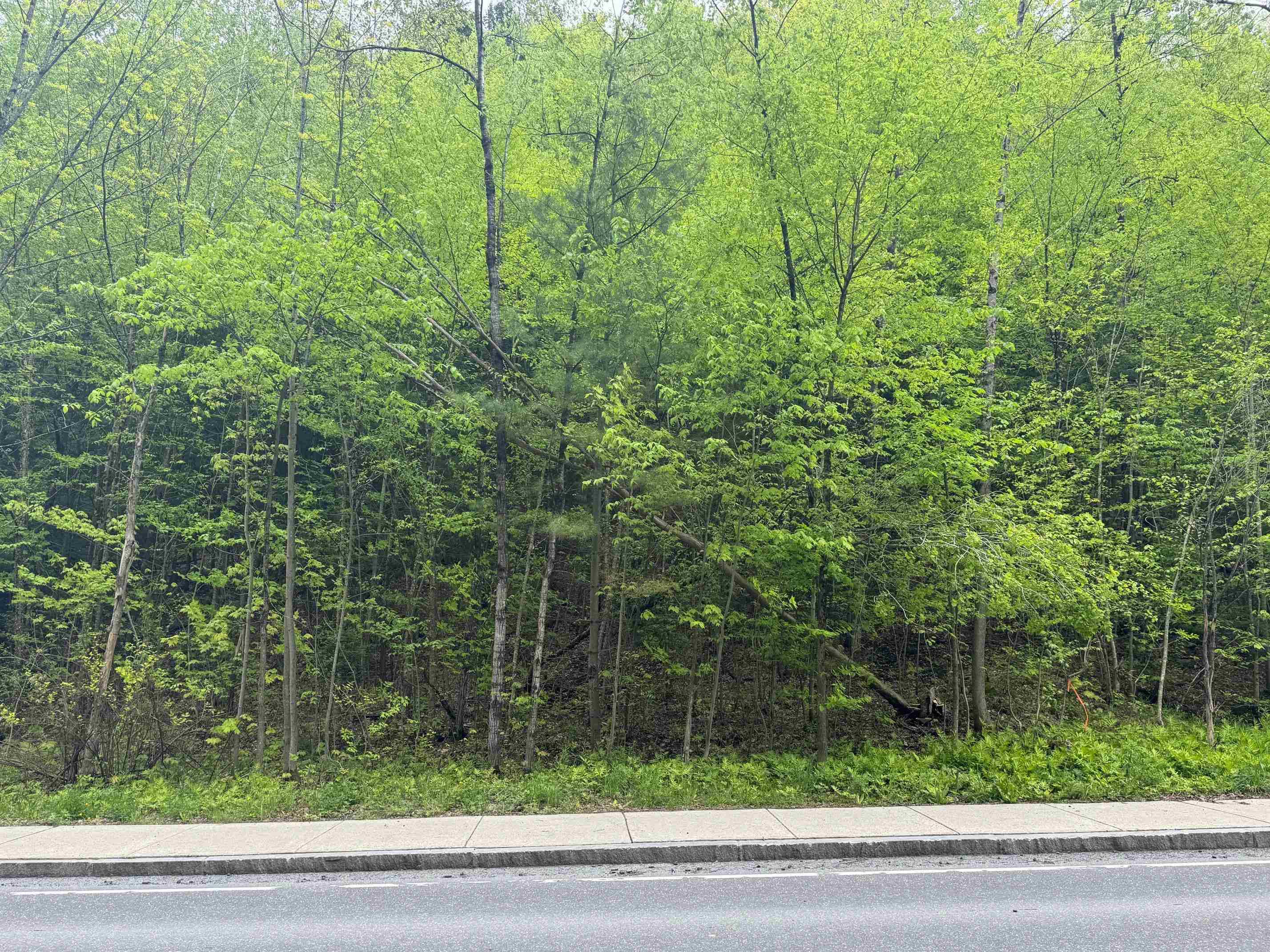 Montpelier, VT 05602,72 Northfield ST #Lot 7