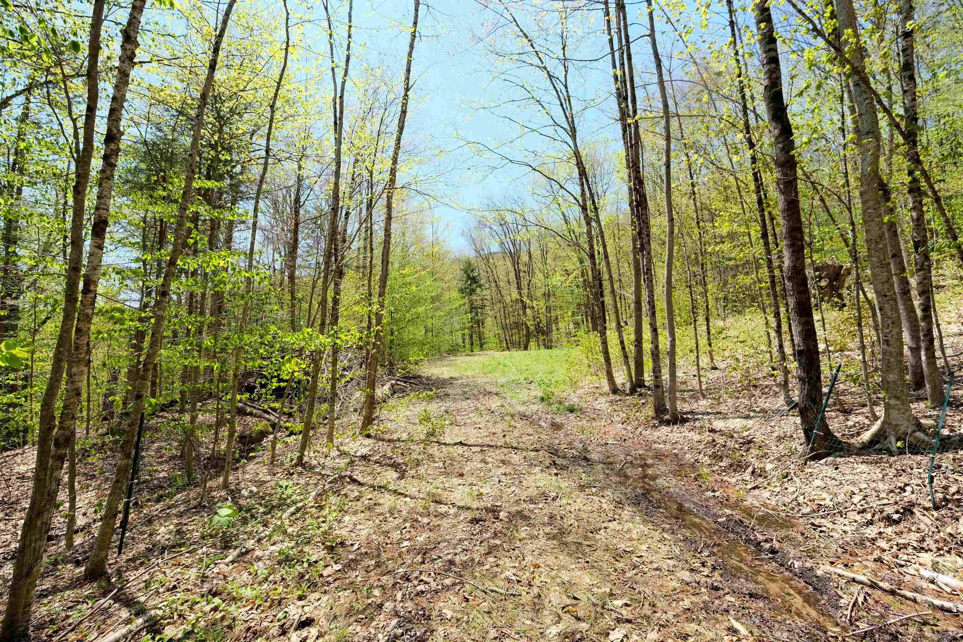 Plymouth, VT 05758,00 Dublin RD