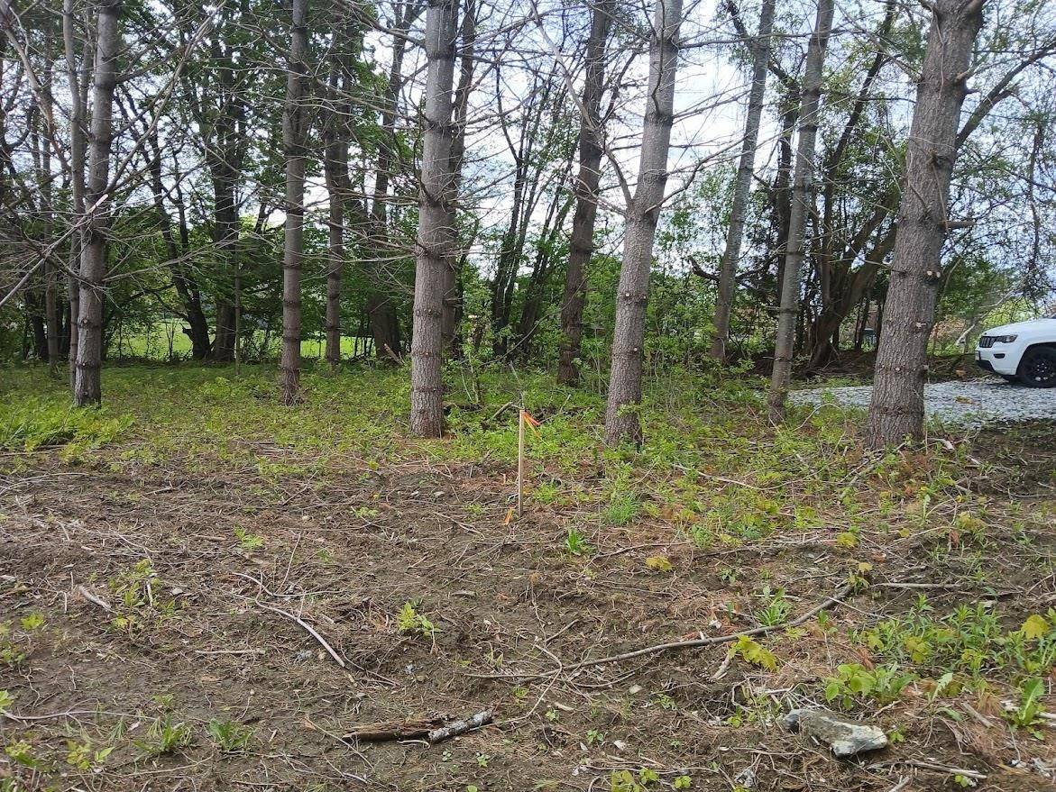 Barre Town, VT 05641,0 W. Cobble Hill RD