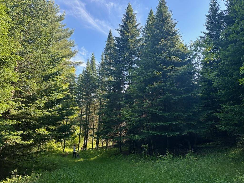 0 Shagbark LN Williston, VT 05495