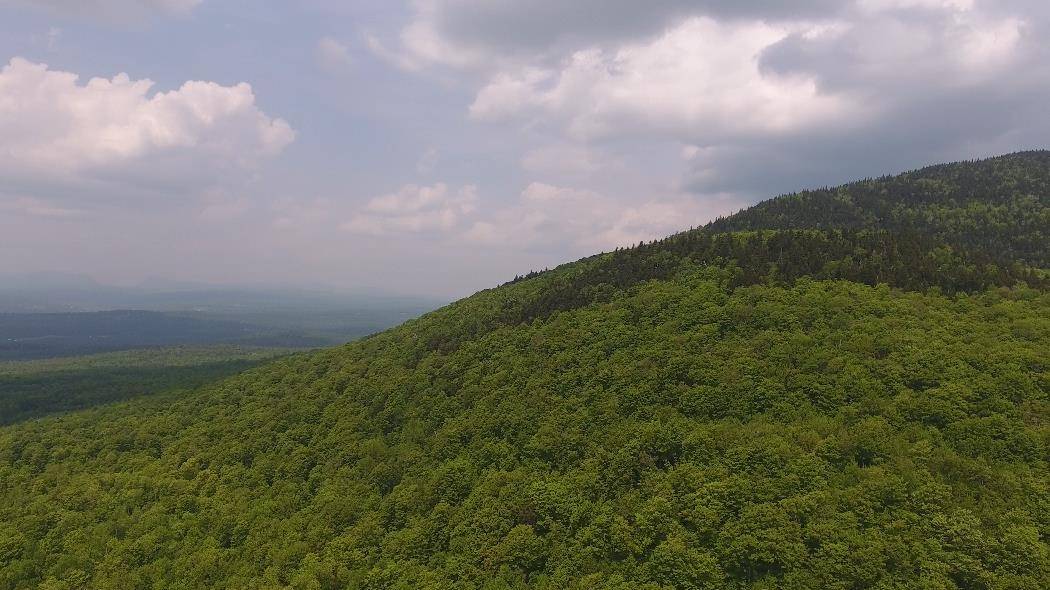 Bennett RD Kirby, VT 05832