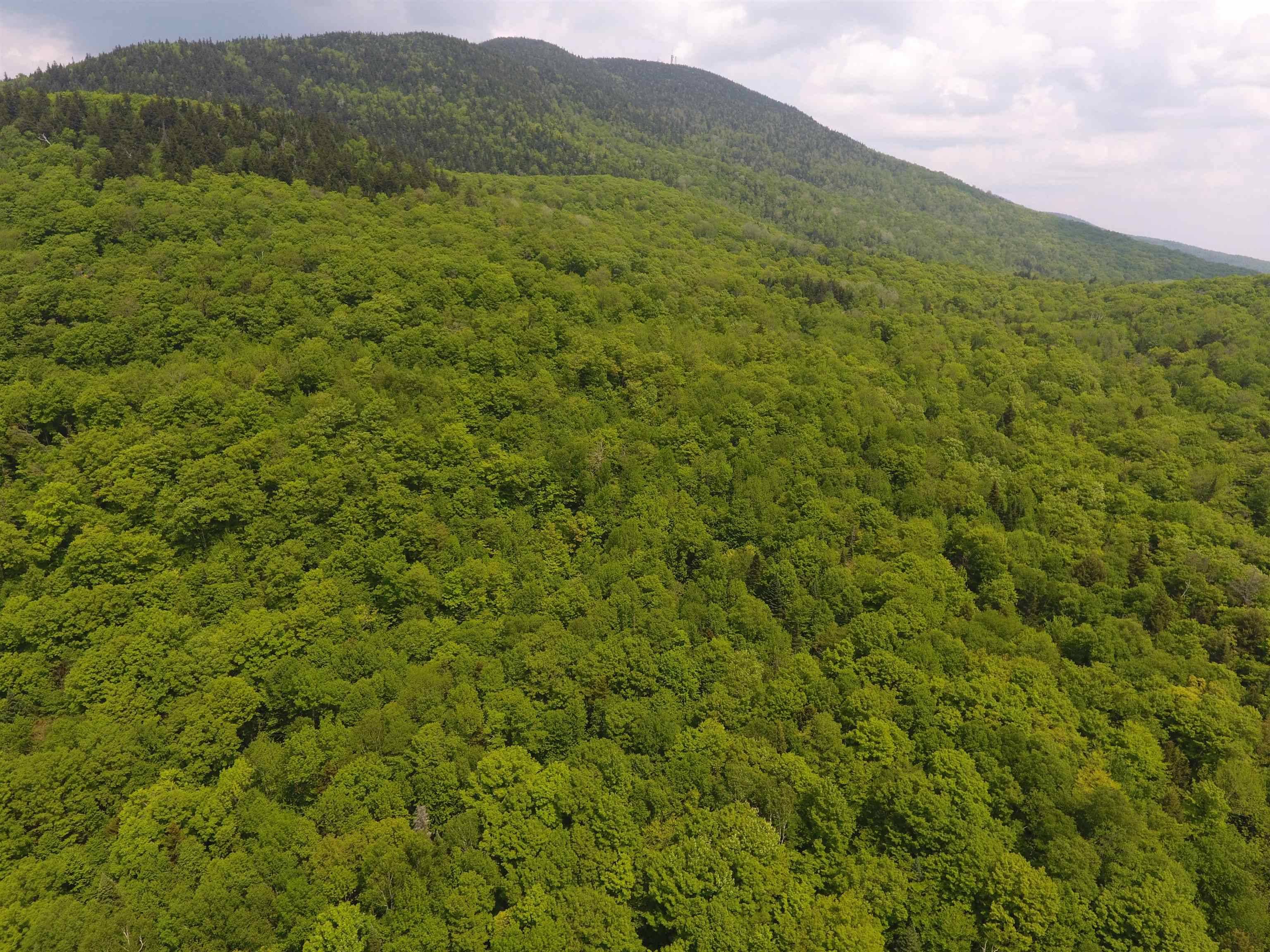 Bennett RD Kirby, VT 05832