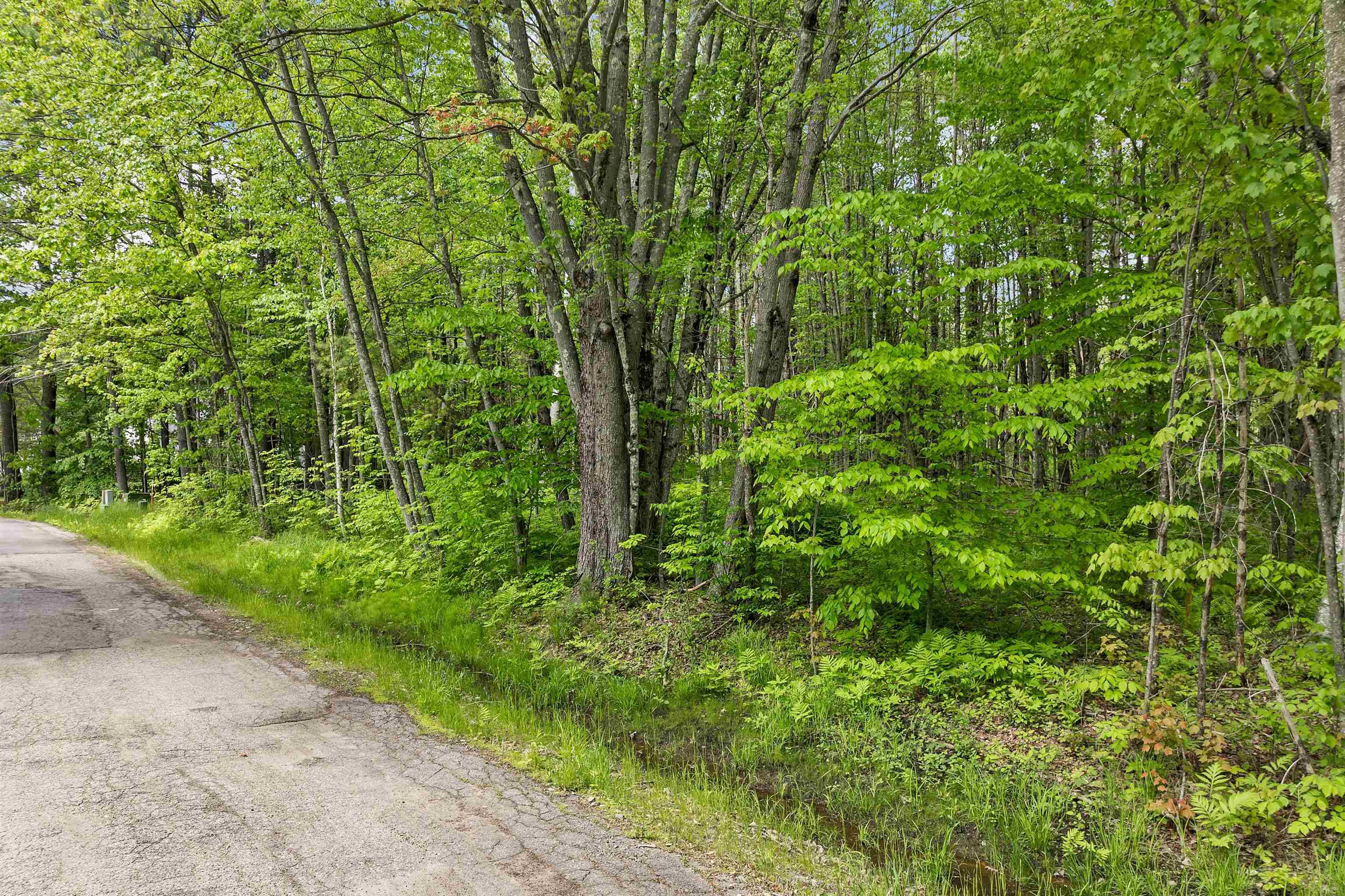 Tuftonboro, NH 03816,Lot 4 Vere Royce RD #Lot 4