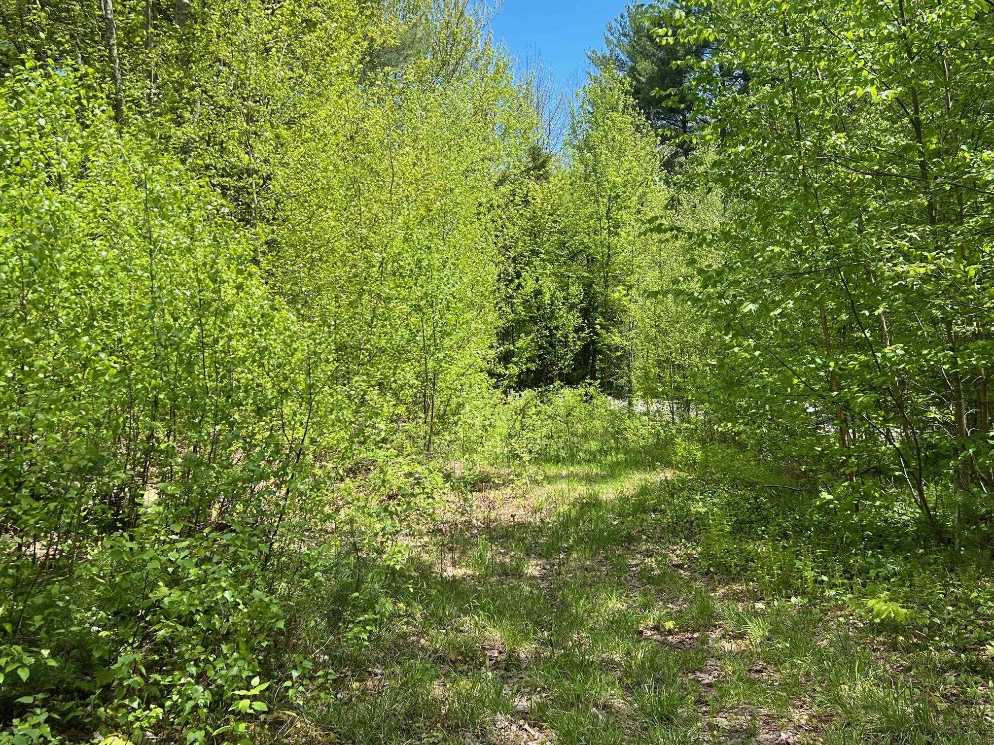 0 Bragg Hill RD #3 Fayston, VT 05673