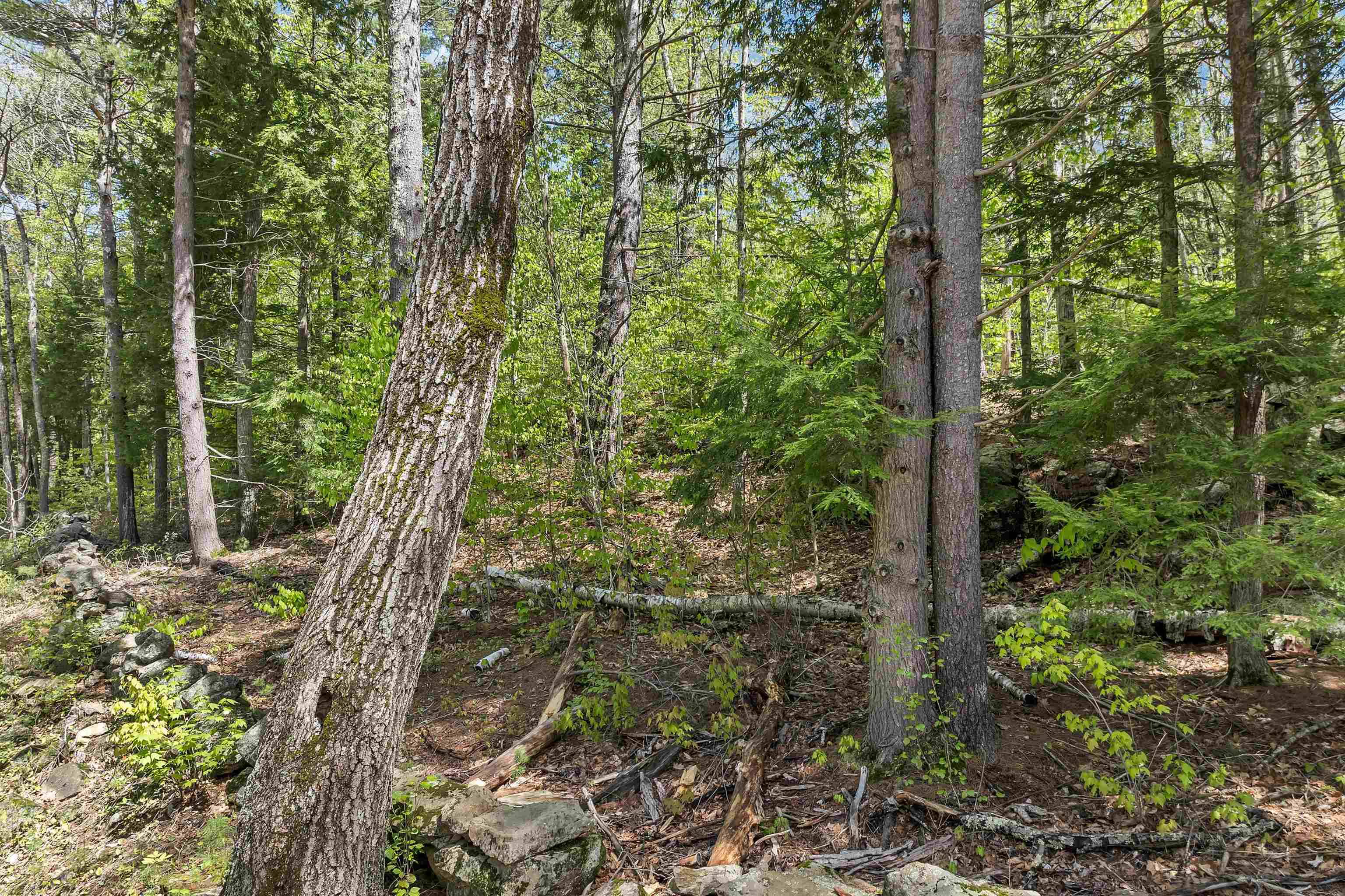 Gilmanton, NH 03837-8,0 Stone RD