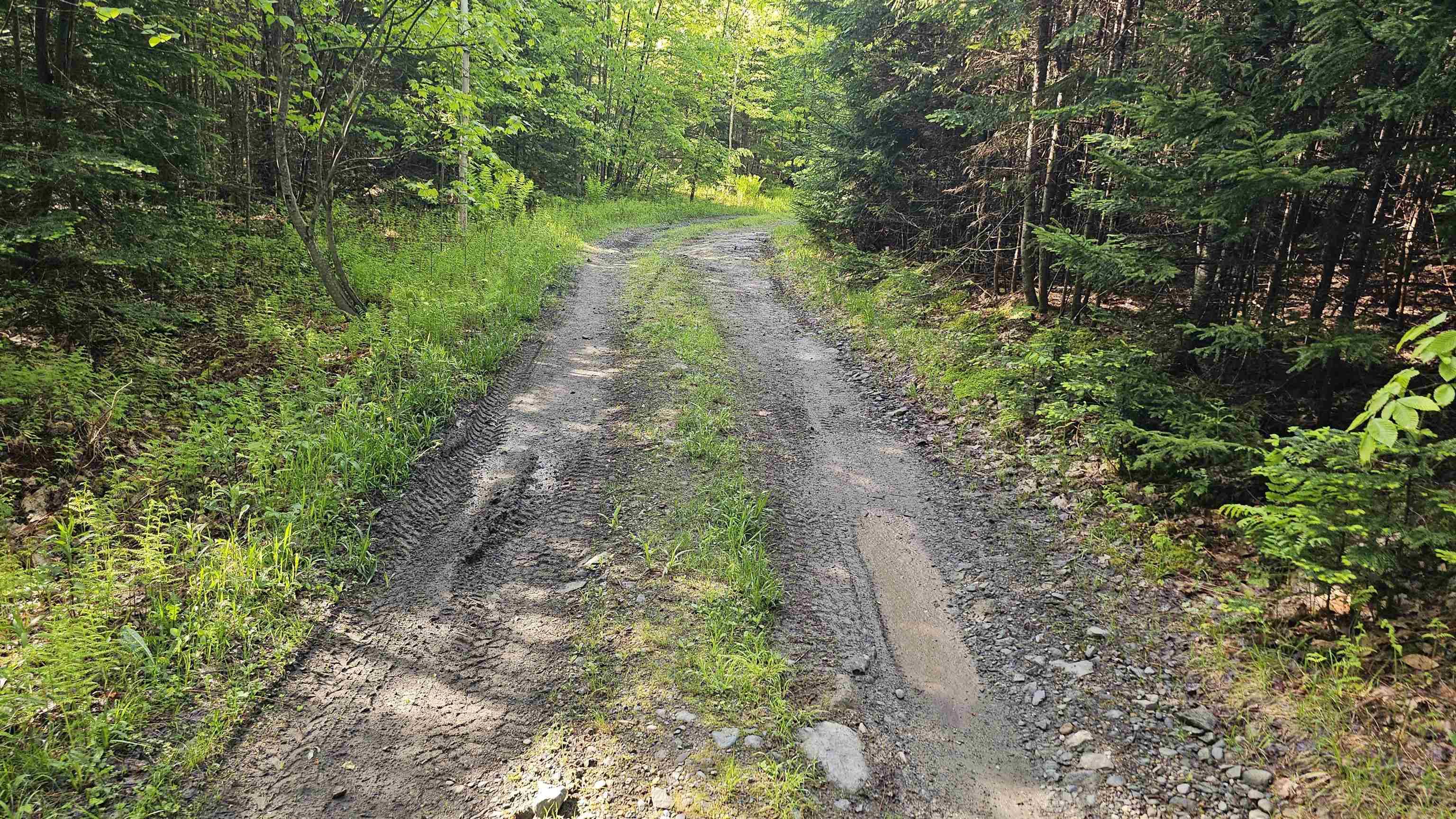 Waterford, VT 05819,00 Hurlbut Hill LN #19