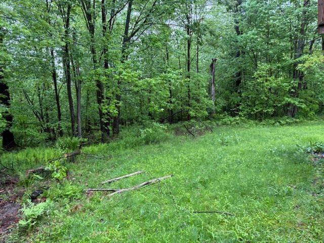 Orford, NH 03777,21 Sunday Mountain Deve RD